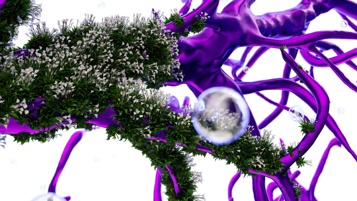 organic and liquid 3D texture composition