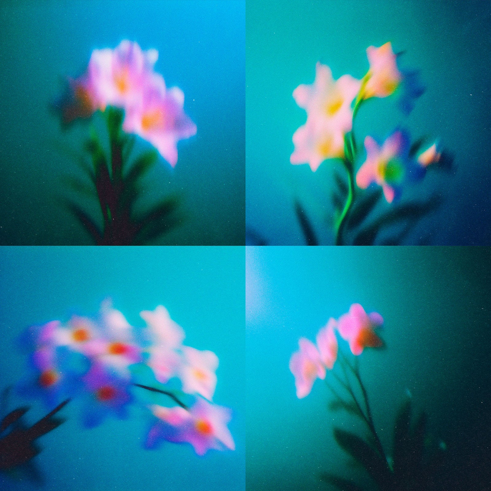 Abstract Blurred Flowers Pack Pixelbuddha