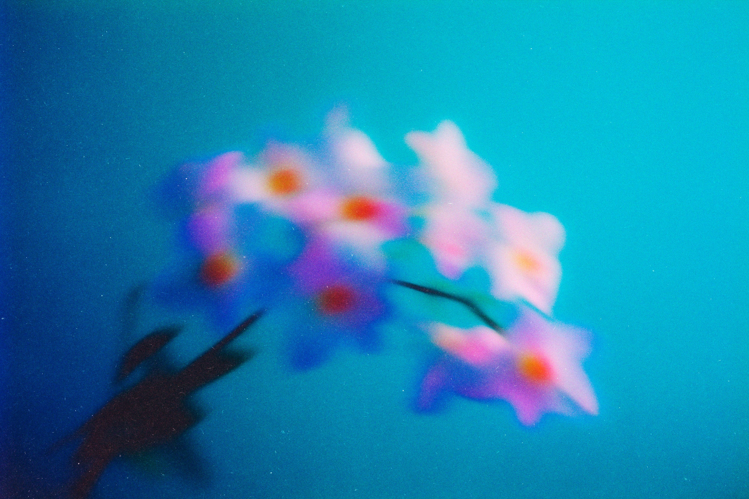 Abstract Blurred Flowers Pack