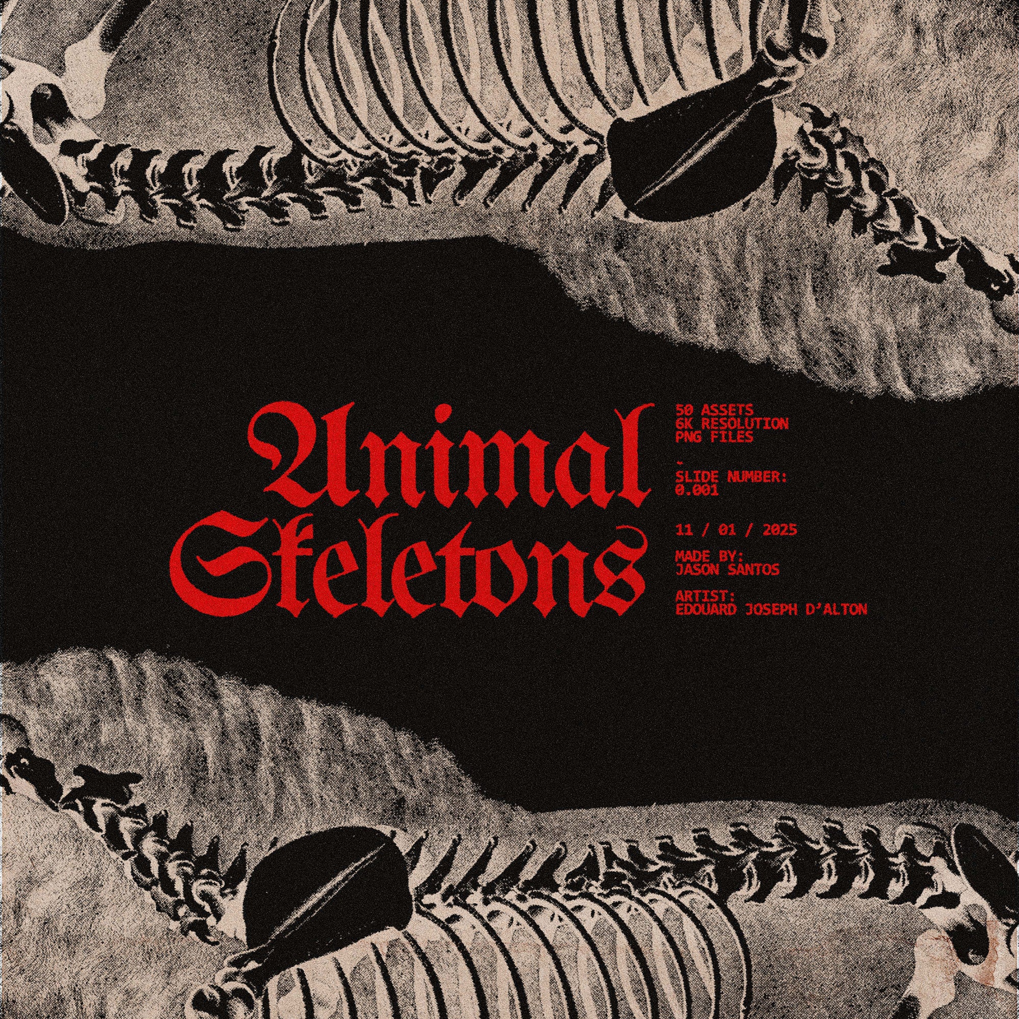 Animal Skeletons Asset Pack (Vol.1) Jason Santos