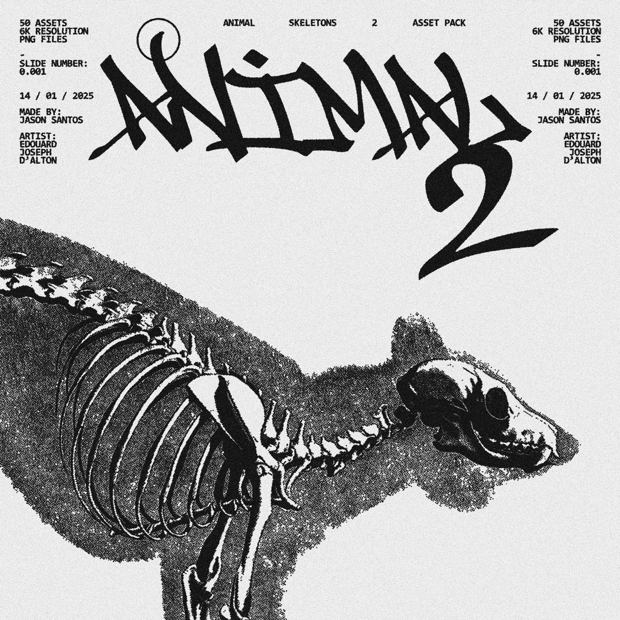 Animal Skeletons Asset Pack (Vol.2) Jason Santos