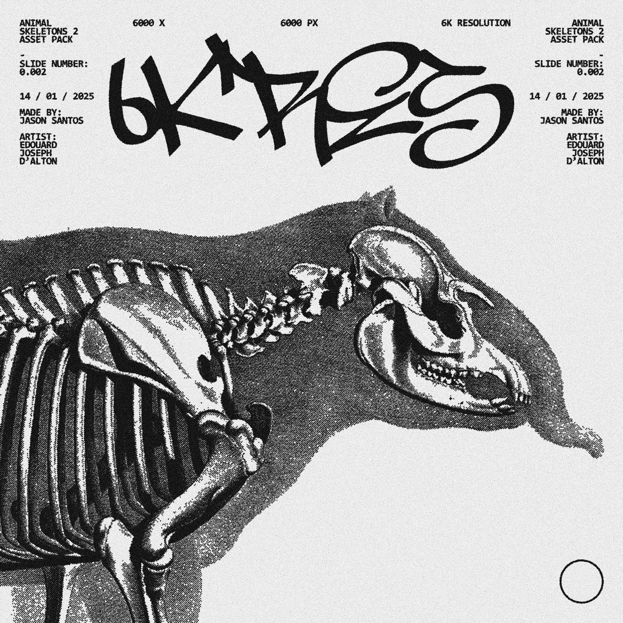 Animal Skeletons Asset Pack (Vol.2) Jason Santos