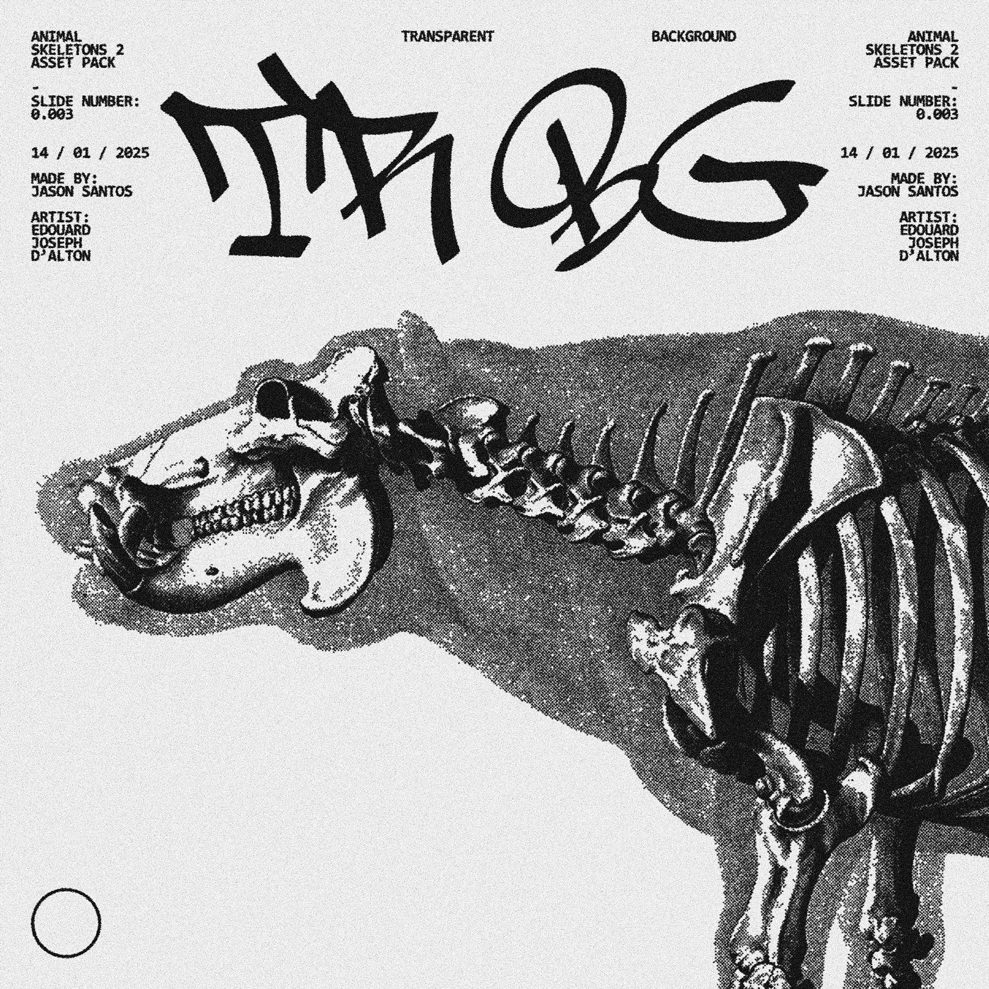 Animal Skeletons Asset Pack (Vol.2) Jason Santos