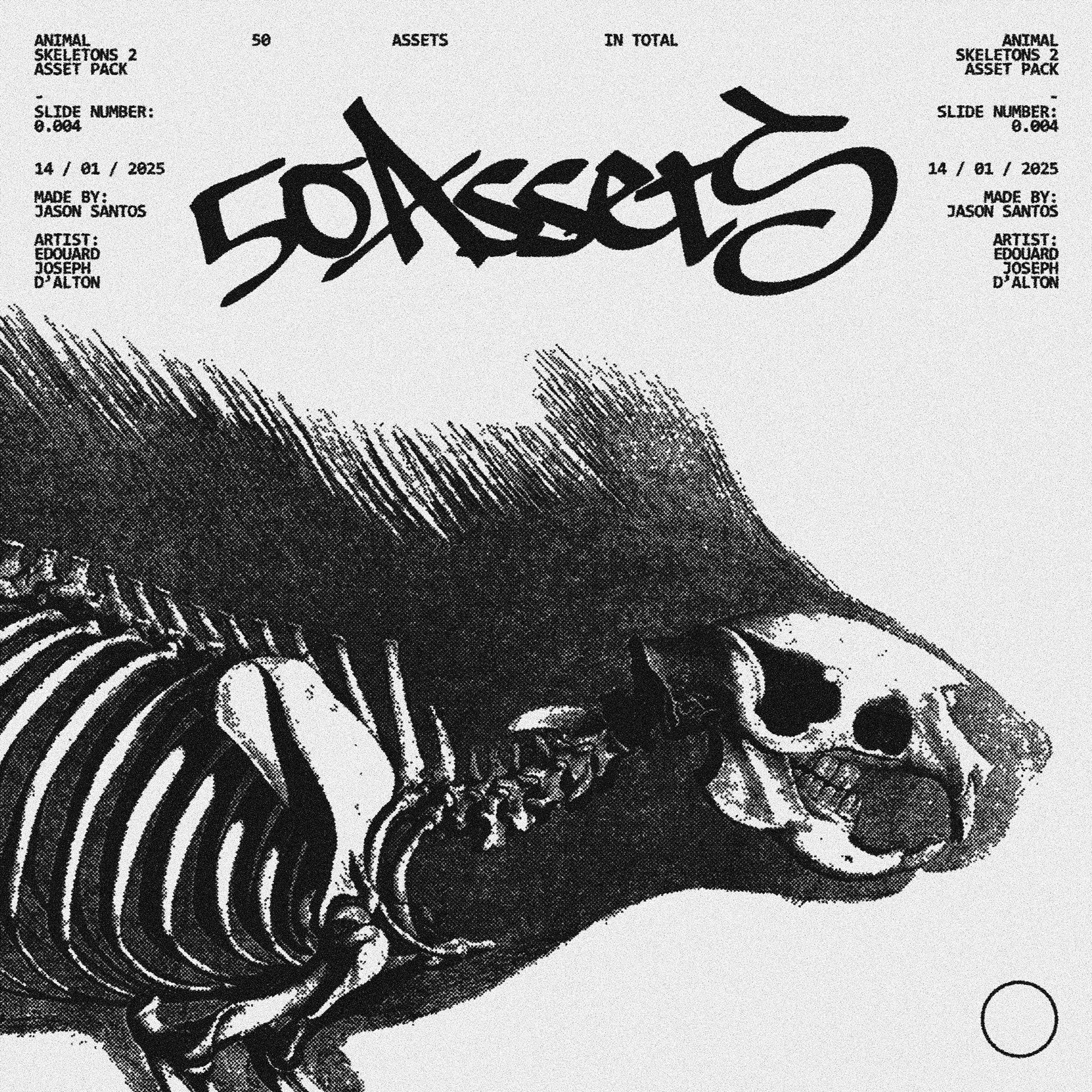 Animal Skeletons Asset Pack (Vol.2) Jason Santos