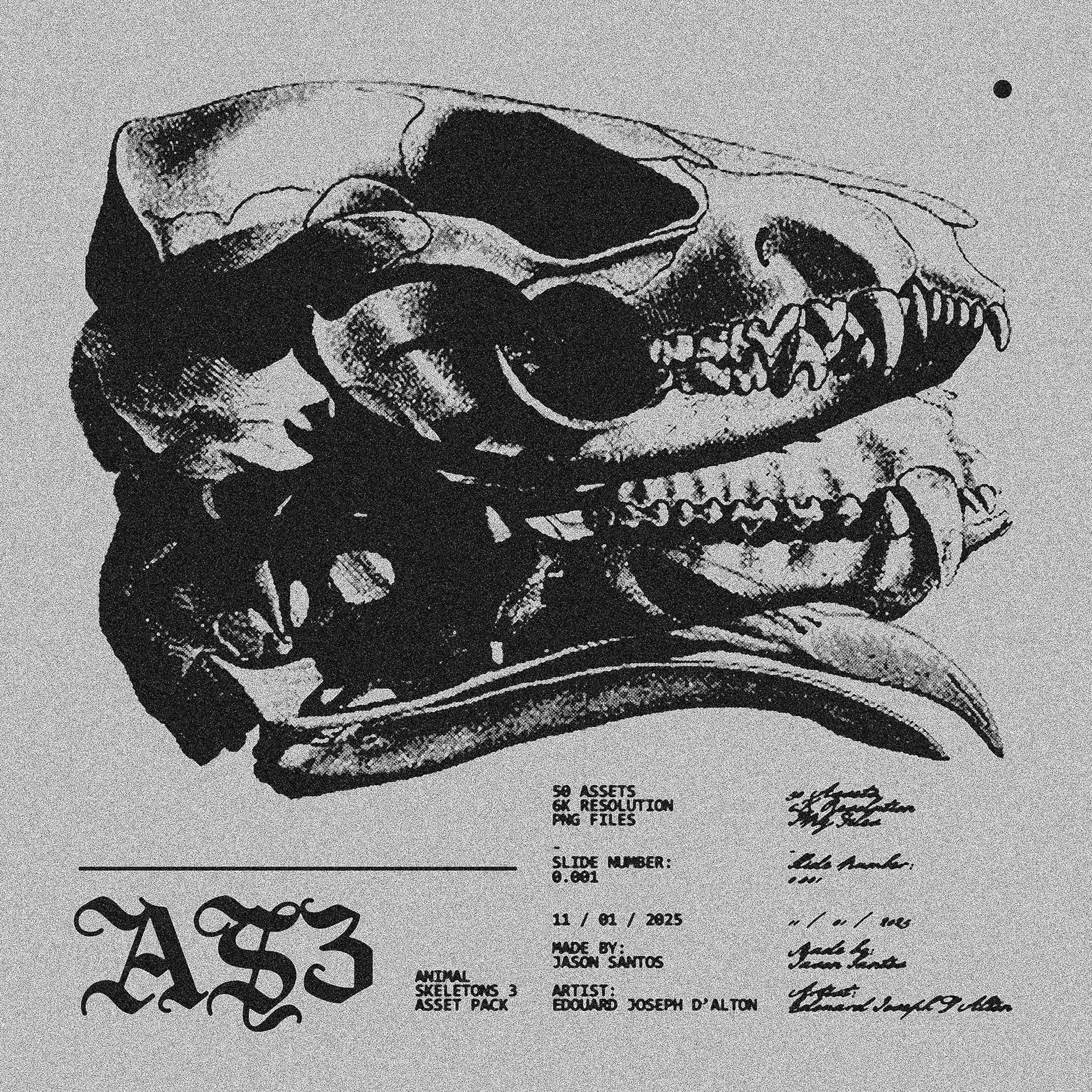 Animal Skeletons Asset Pack (Vol.3) Jason Santos