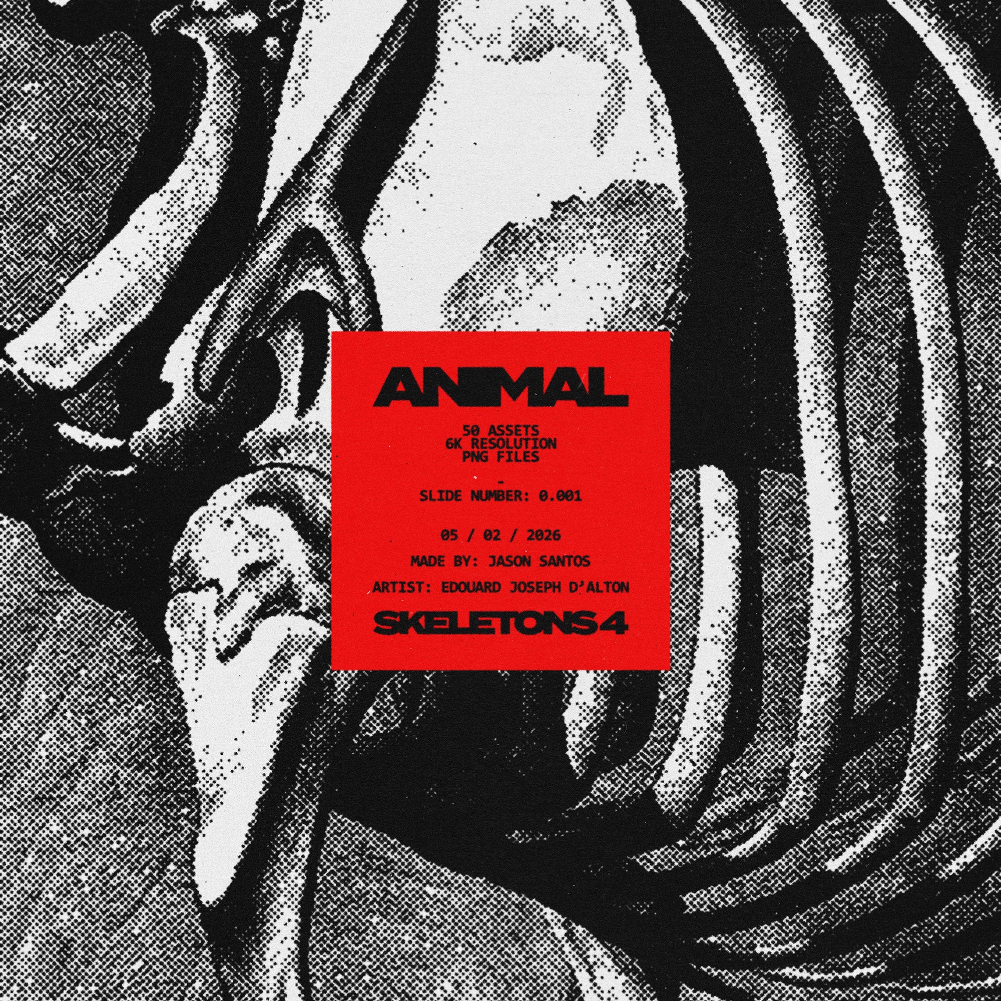 Animal Skeletons Asset Pack (Vol.4) Jason Santos