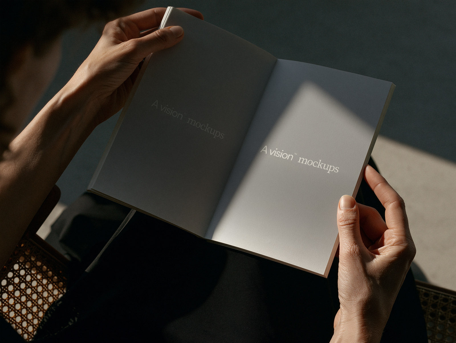 Open Book Mockup 01 A vision