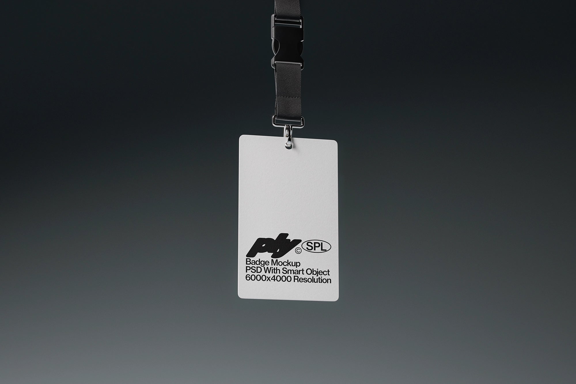 Badge 01
