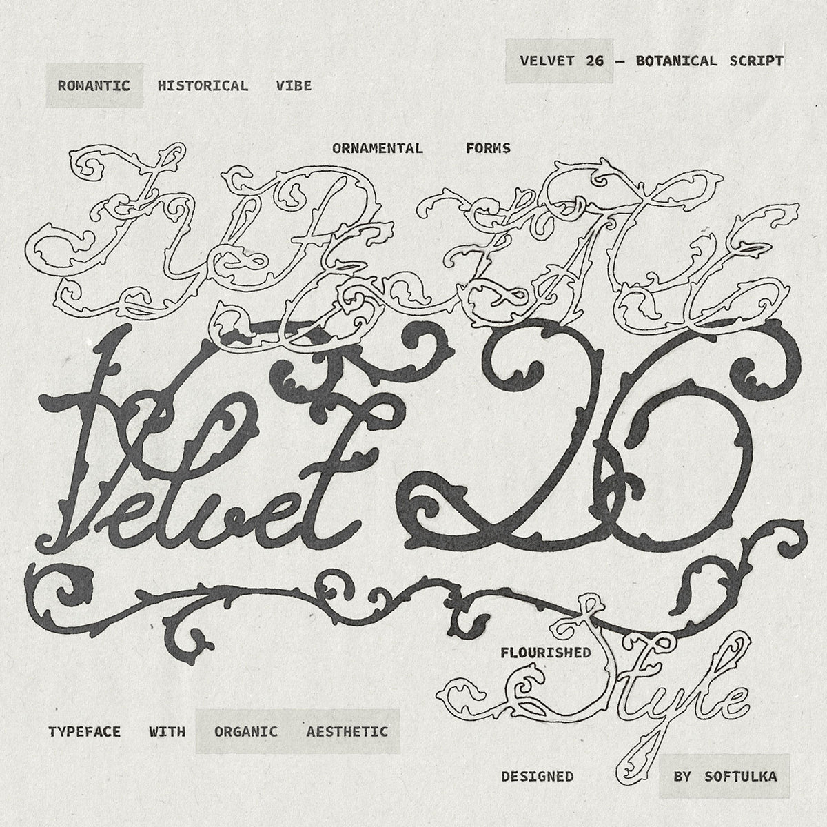Velvet 26 Botanical Handwritten Script Font Softulka