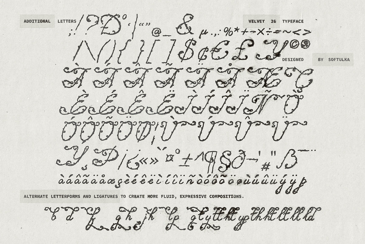 Velvet 26 Botanical Handwritten Script Font Softulka