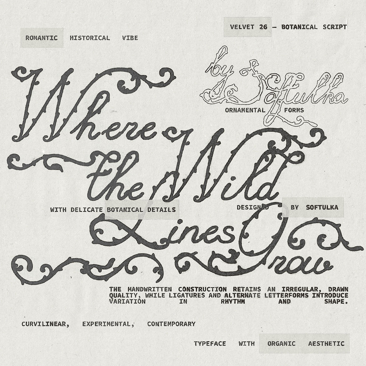 Velvet 26 Botanical Handwritten Script Font Softulka