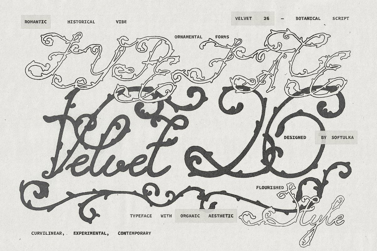 Velvet 26 Botanical Handwritten Script Font Softulka
