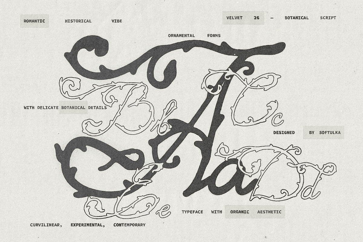 Velvet 26 Botanical Handwritten Script Font Softulka