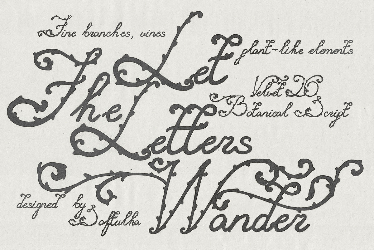 Velvet 26 Botanical Handwritten Script Font Softulka