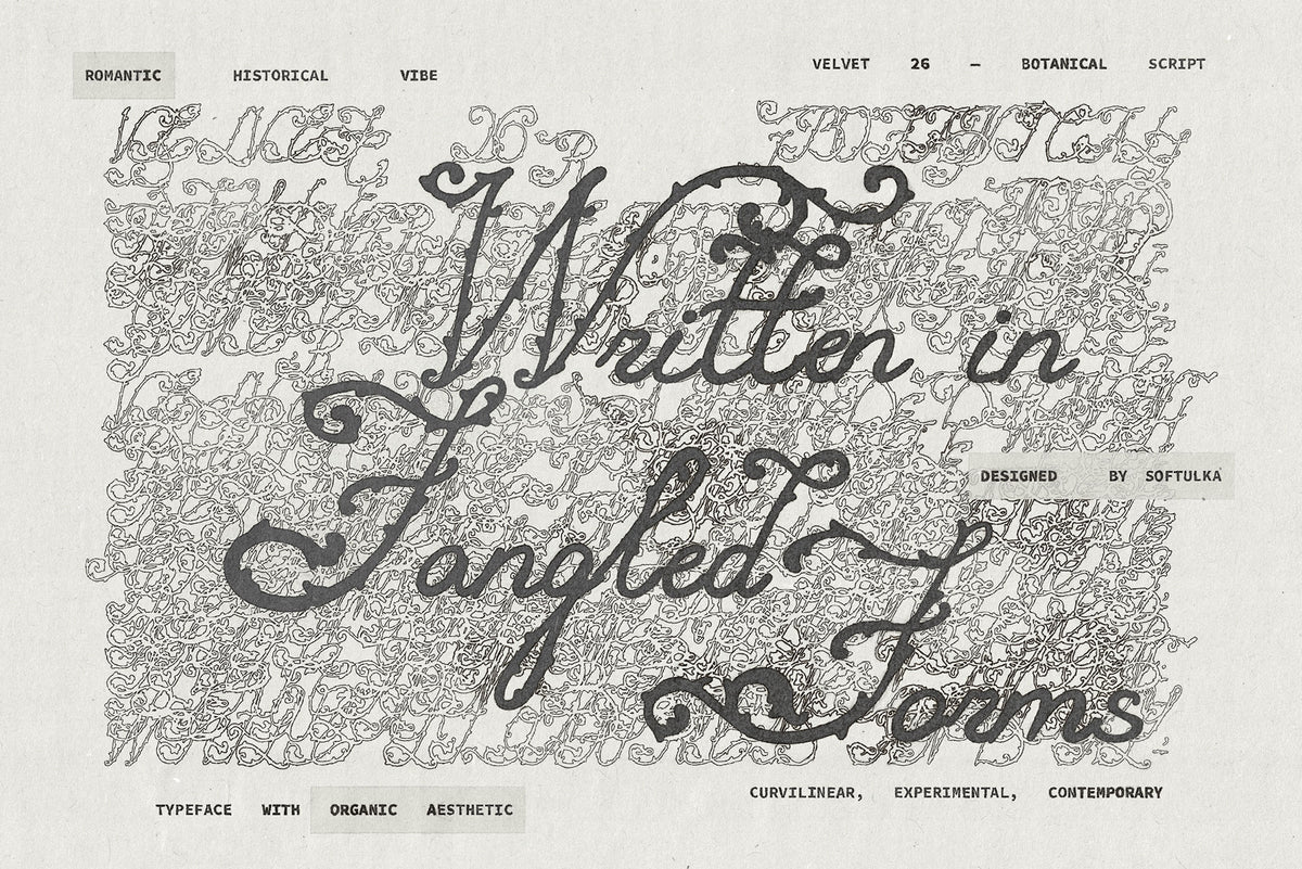 Velvet 26 Botanical Handwritten Script Font Softulka