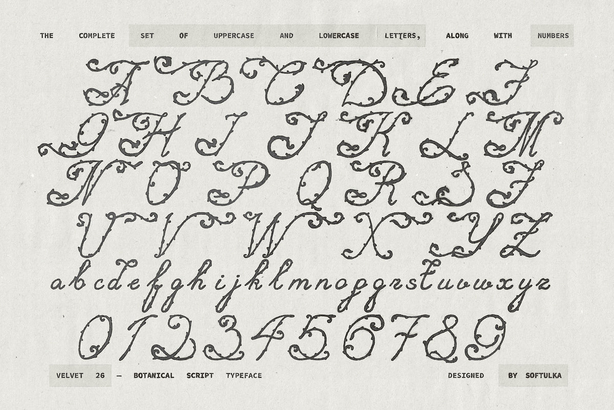Velvet 26 Botanical Handwritten Script Font Softulka