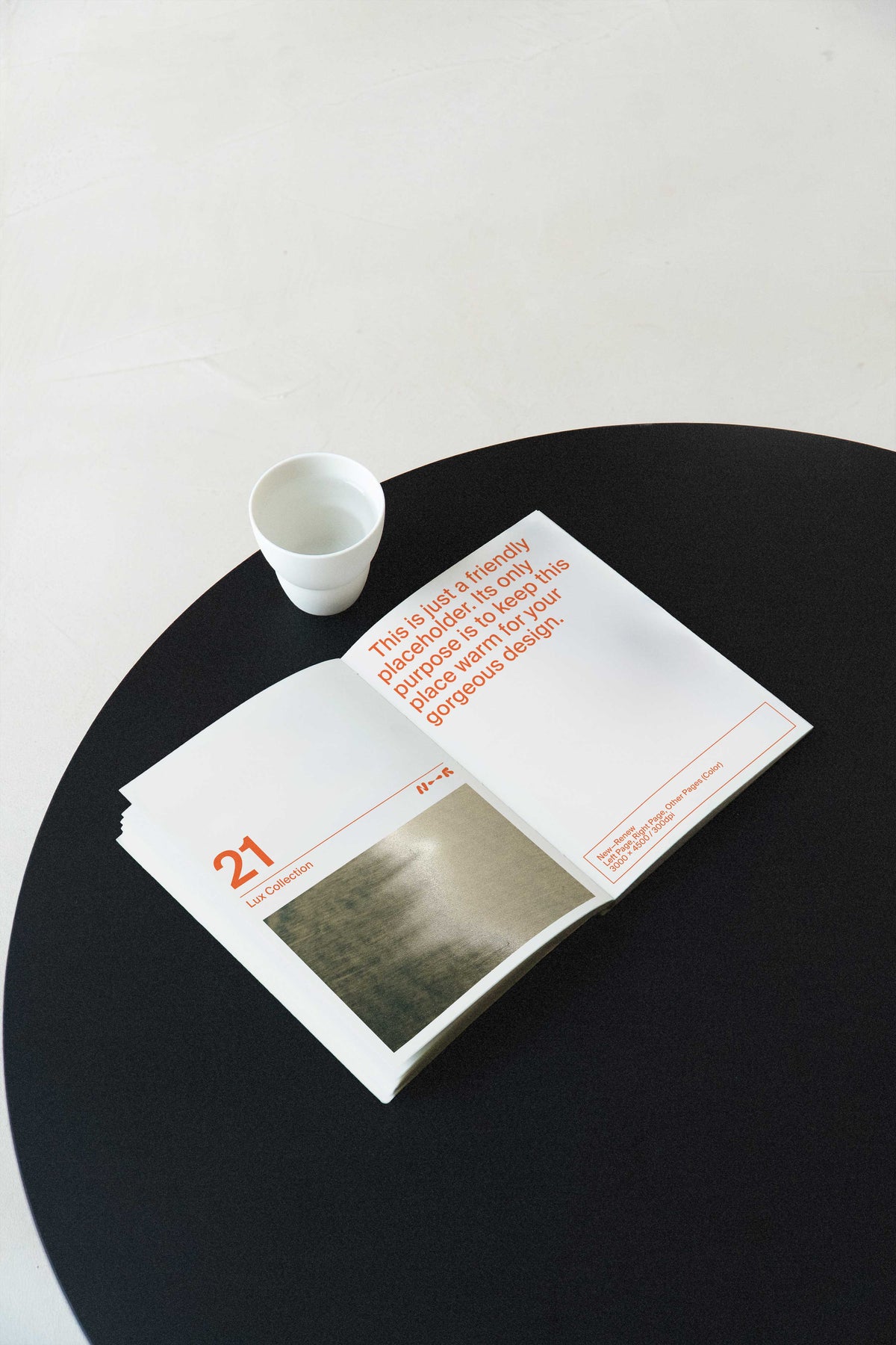Corporate Brochure Mockup • LUX 021 New—Renew