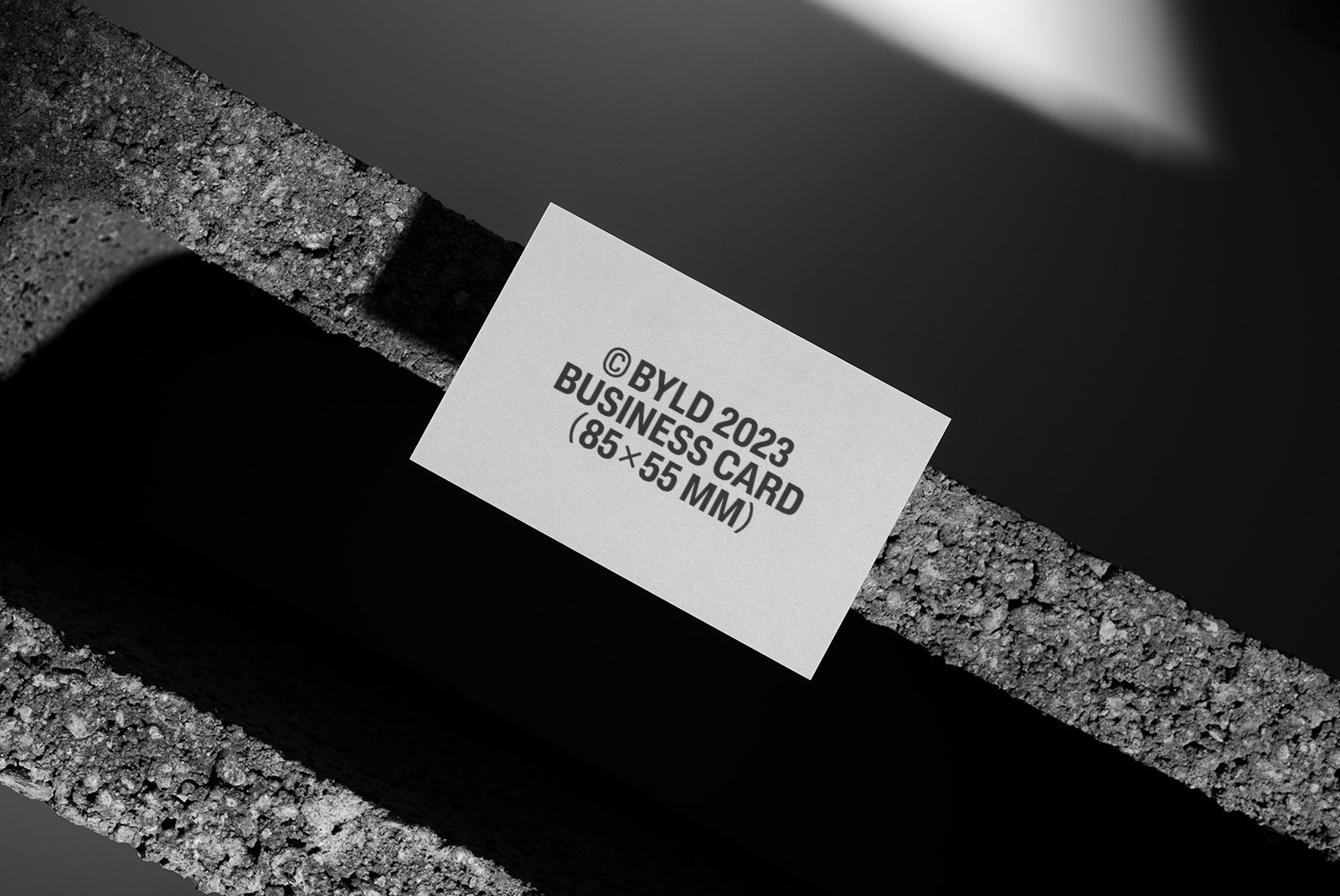 Business Card 11