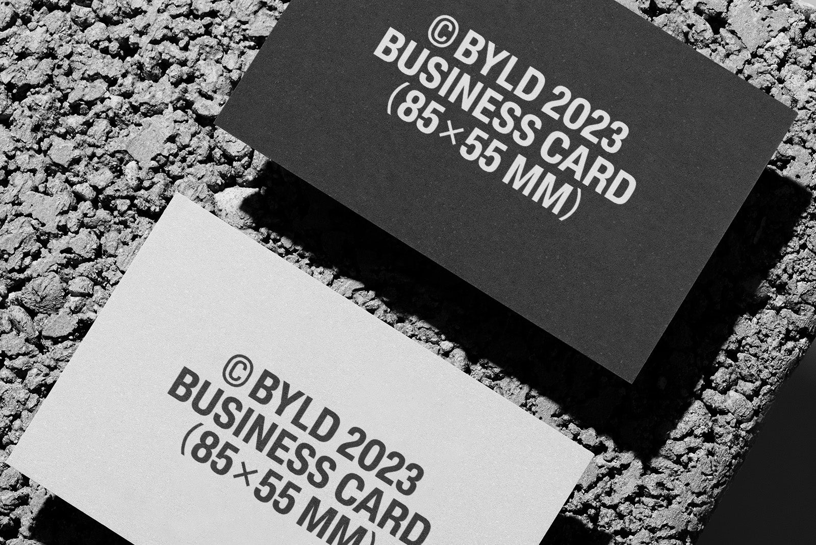 Business Card 15