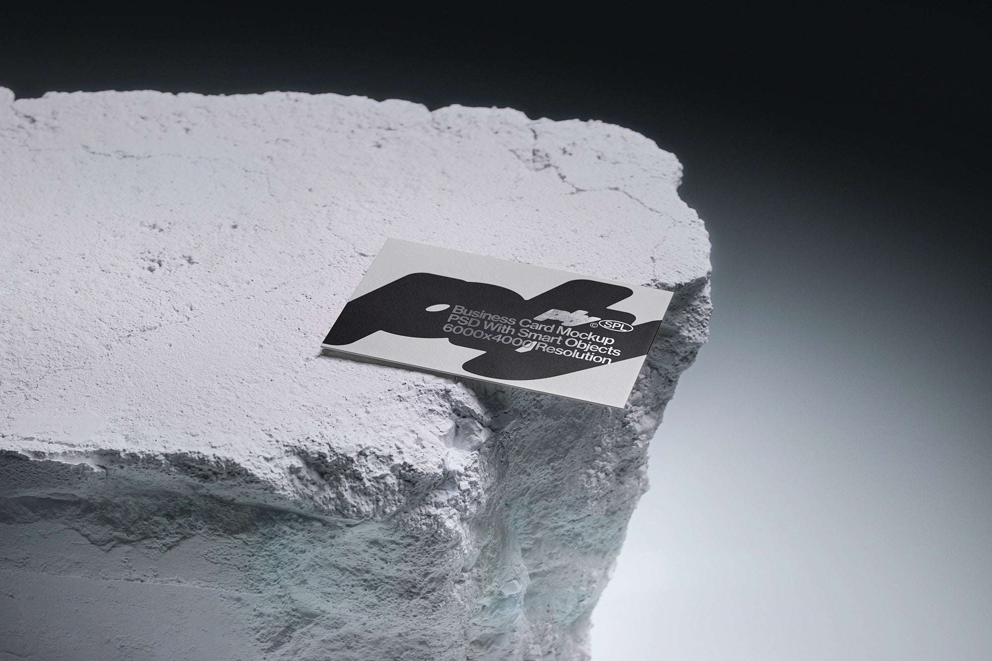 Business Card 04