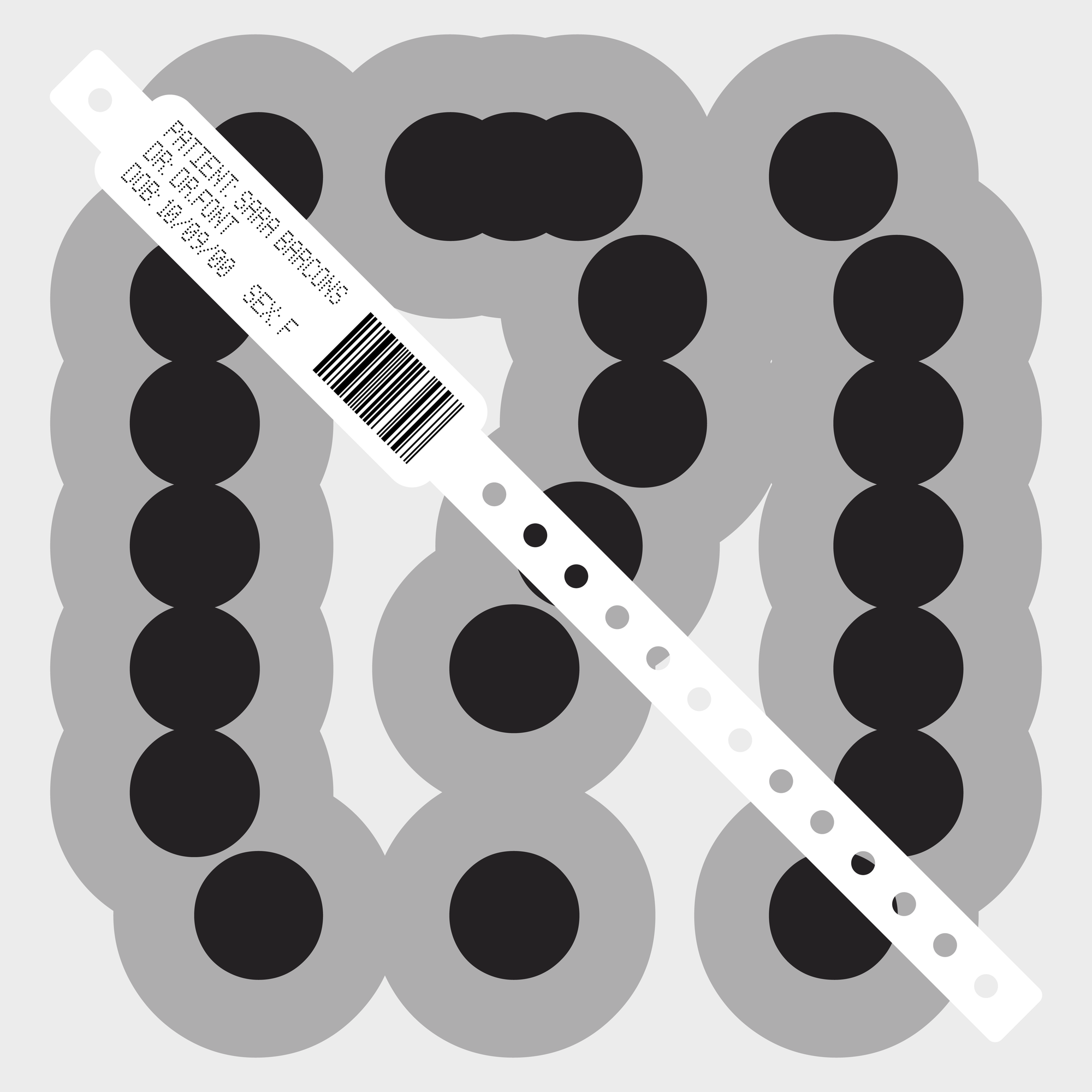 TPM Typeface Sara Barcons