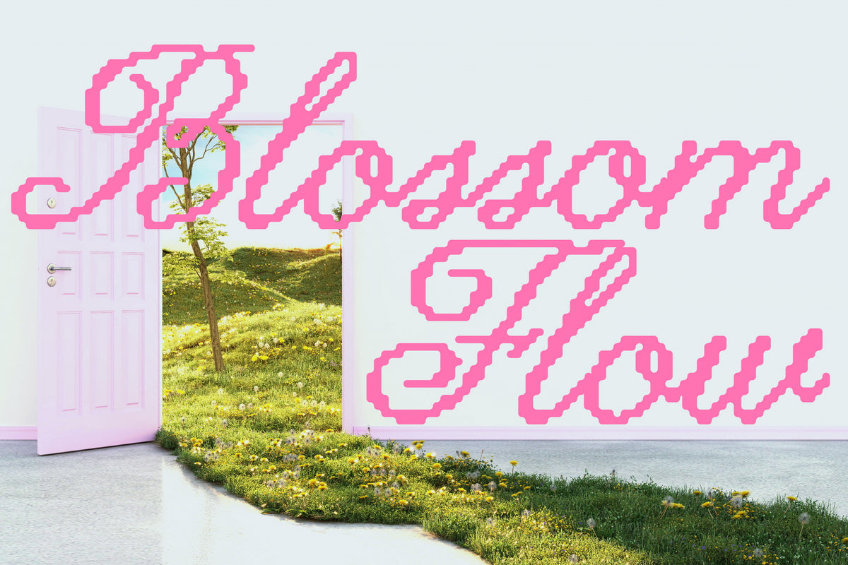 Lucid Wake Pixel Calligraphic Script Victoria Strukovskaya