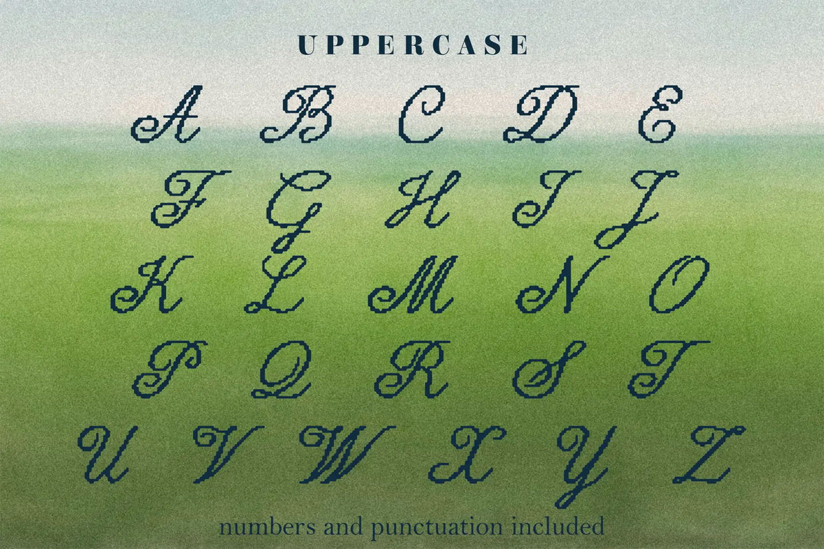 Lucid Wake Pixel Calligraphic Script Victoria Strukovskaya