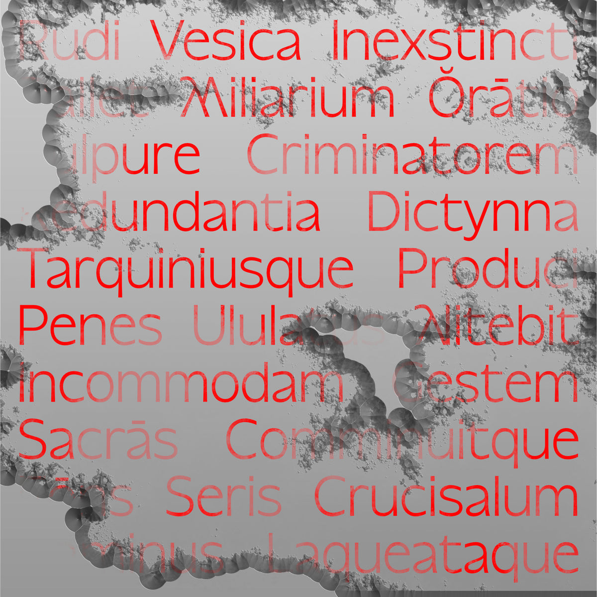 Humanity Typeface Jules Rousseau