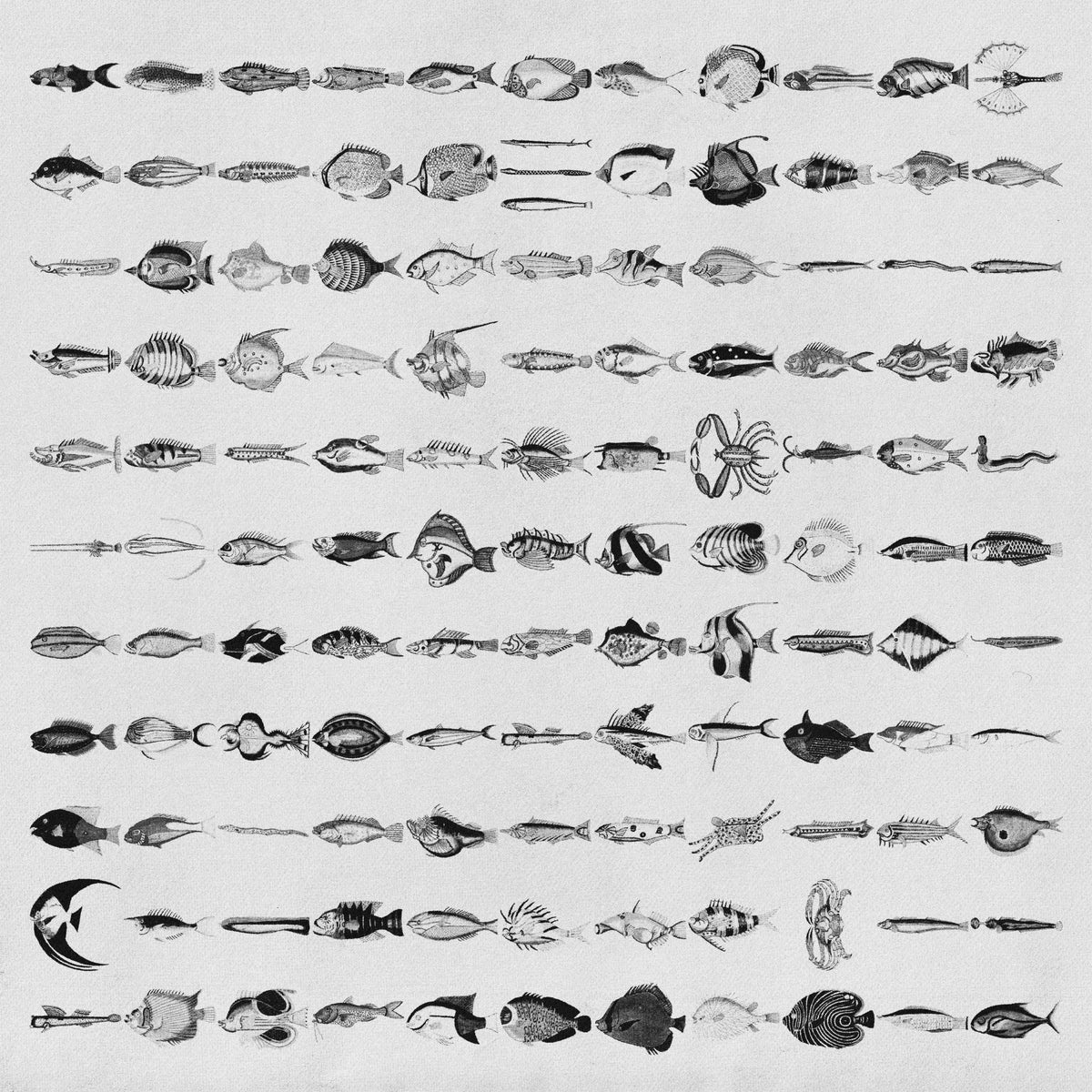 Fishes Asset Pack Jason Santos