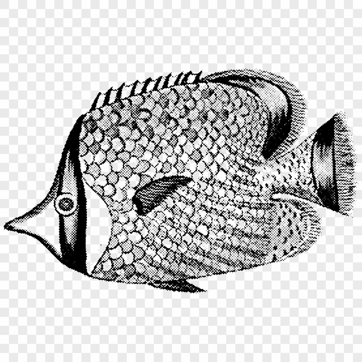 Fishes Asset Pack Jason Santos