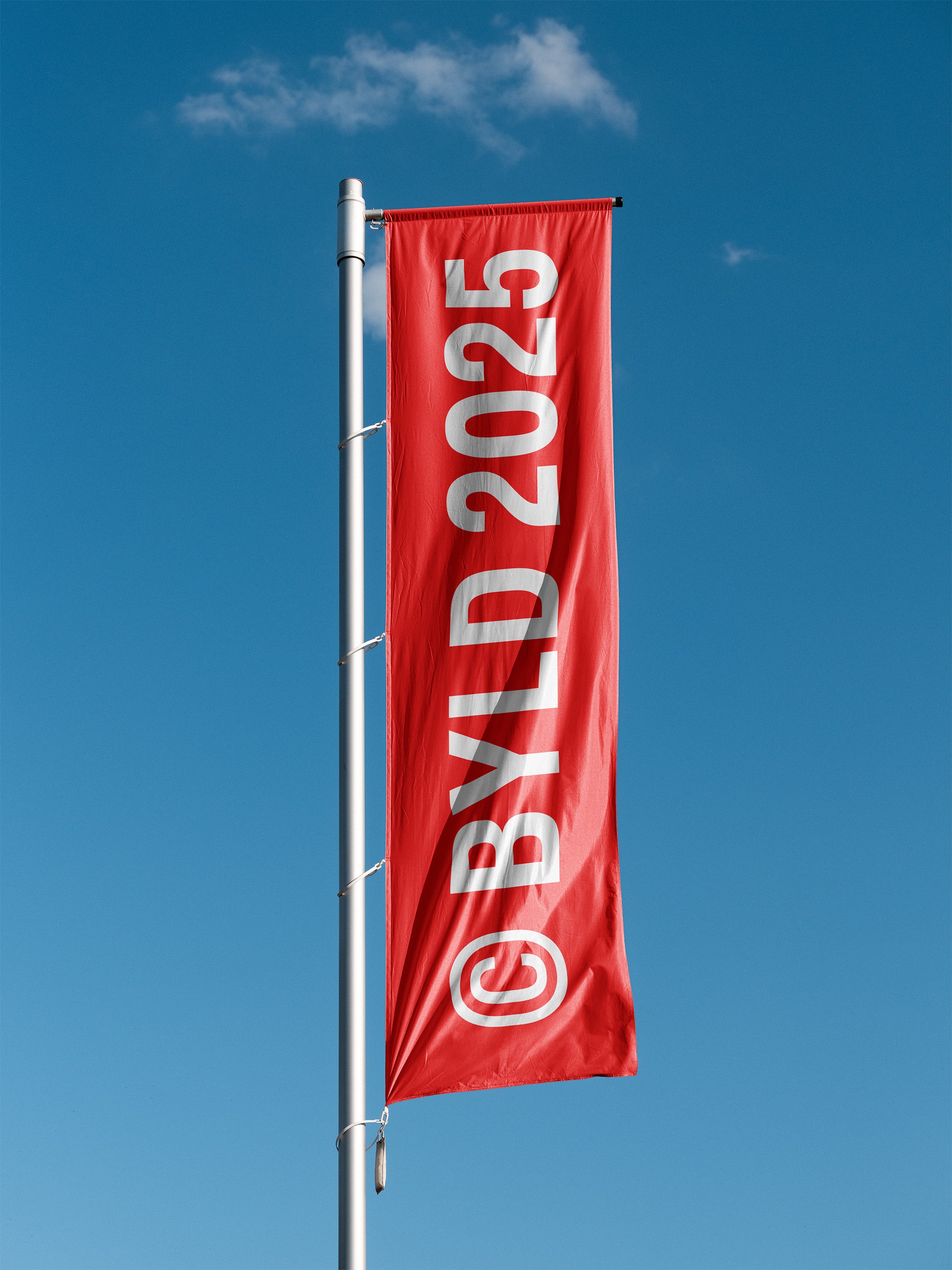 Flag 13