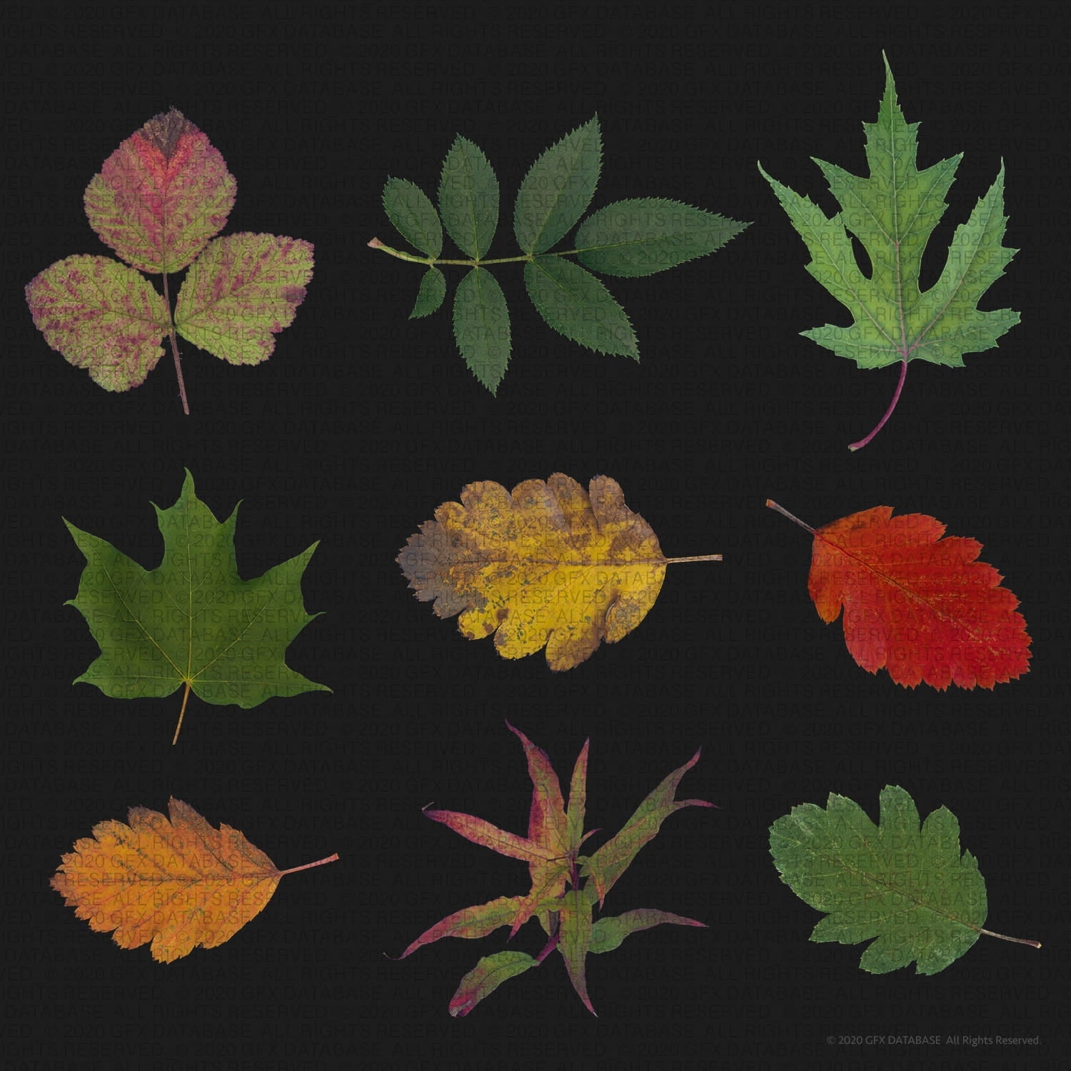 Foliage Pack (Vol.1) GFX Database