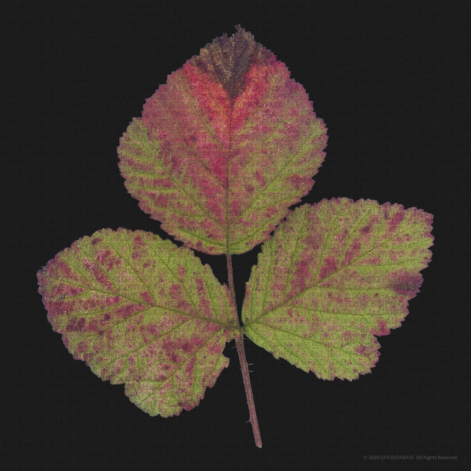 Foliage Pack (Vol.1) GFX Database