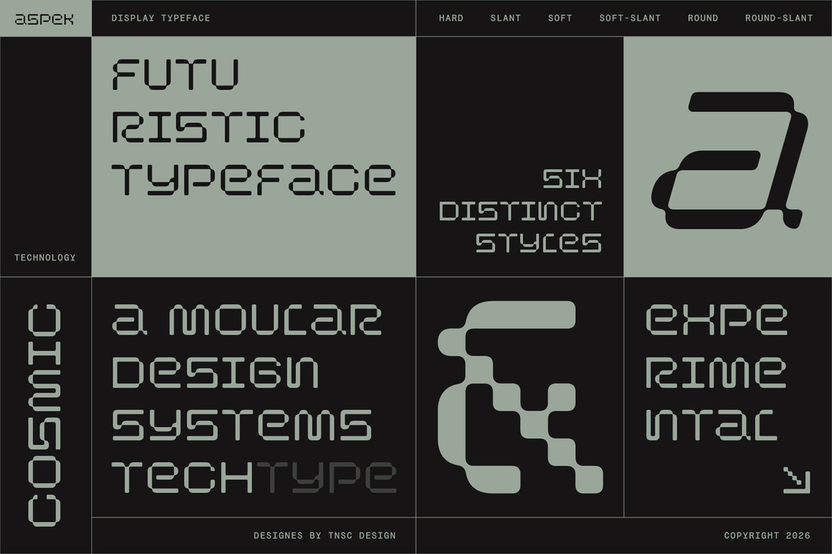 TNSC Aspek Typeface The Native Saint Club