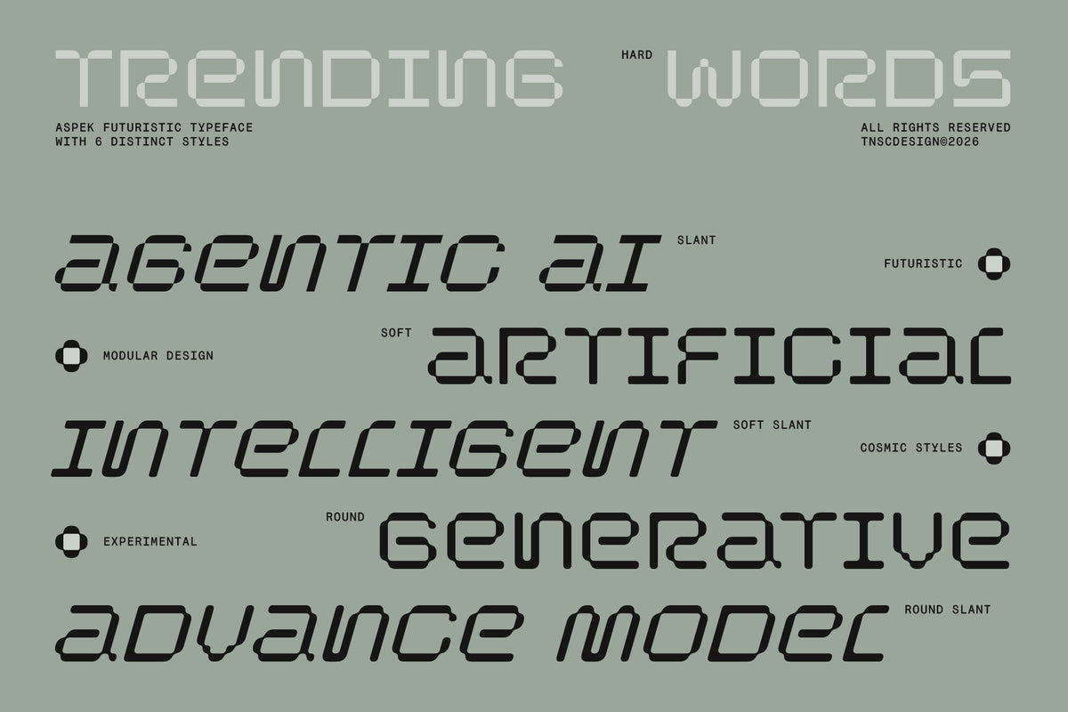 TNSC Aspek Typeface The Native Saint Club