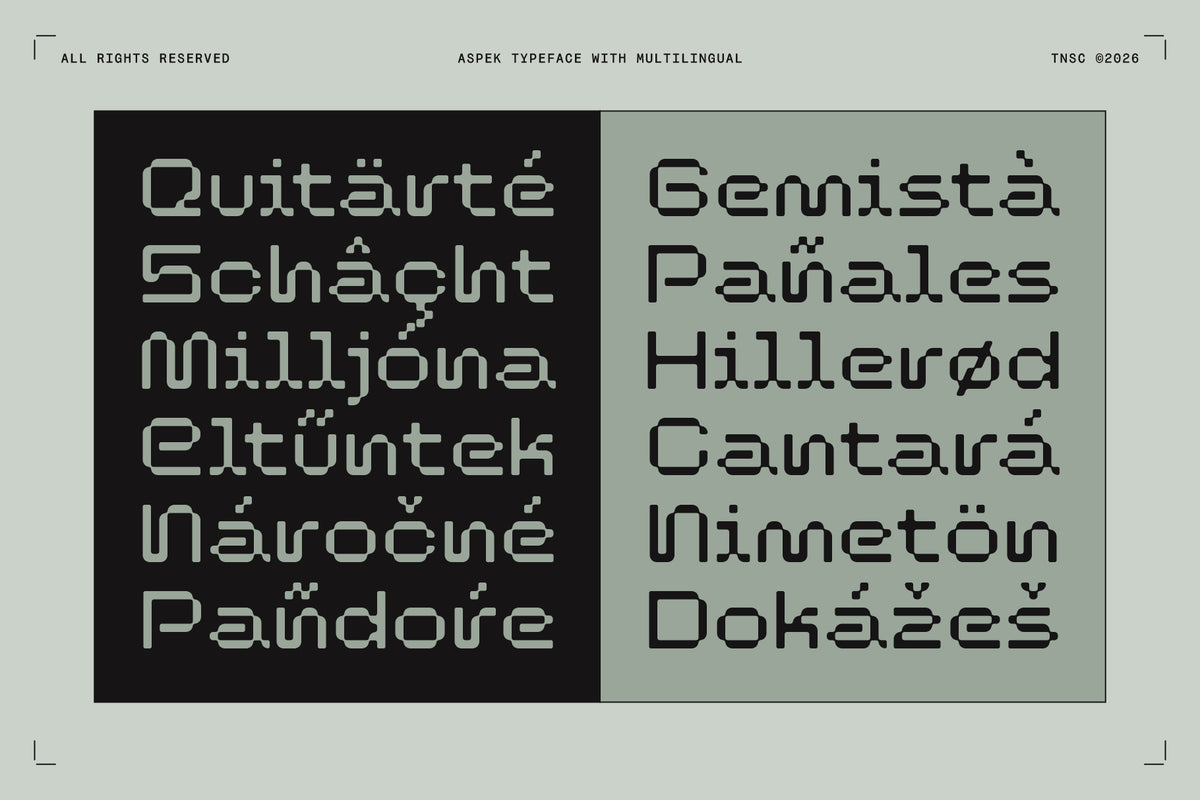 TNSC Aspek Typeface The Native Saint Club