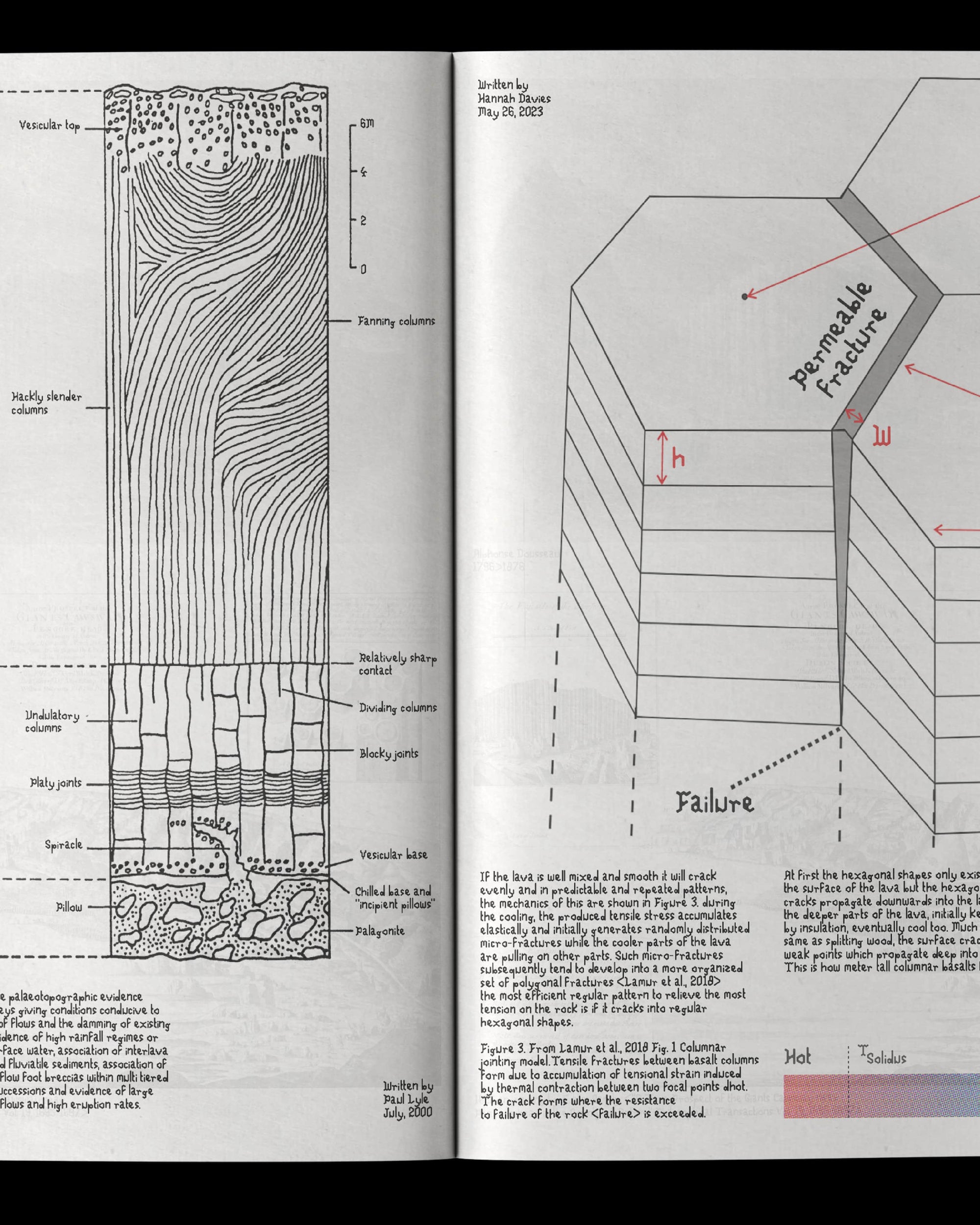 Giant's Maxime Thill