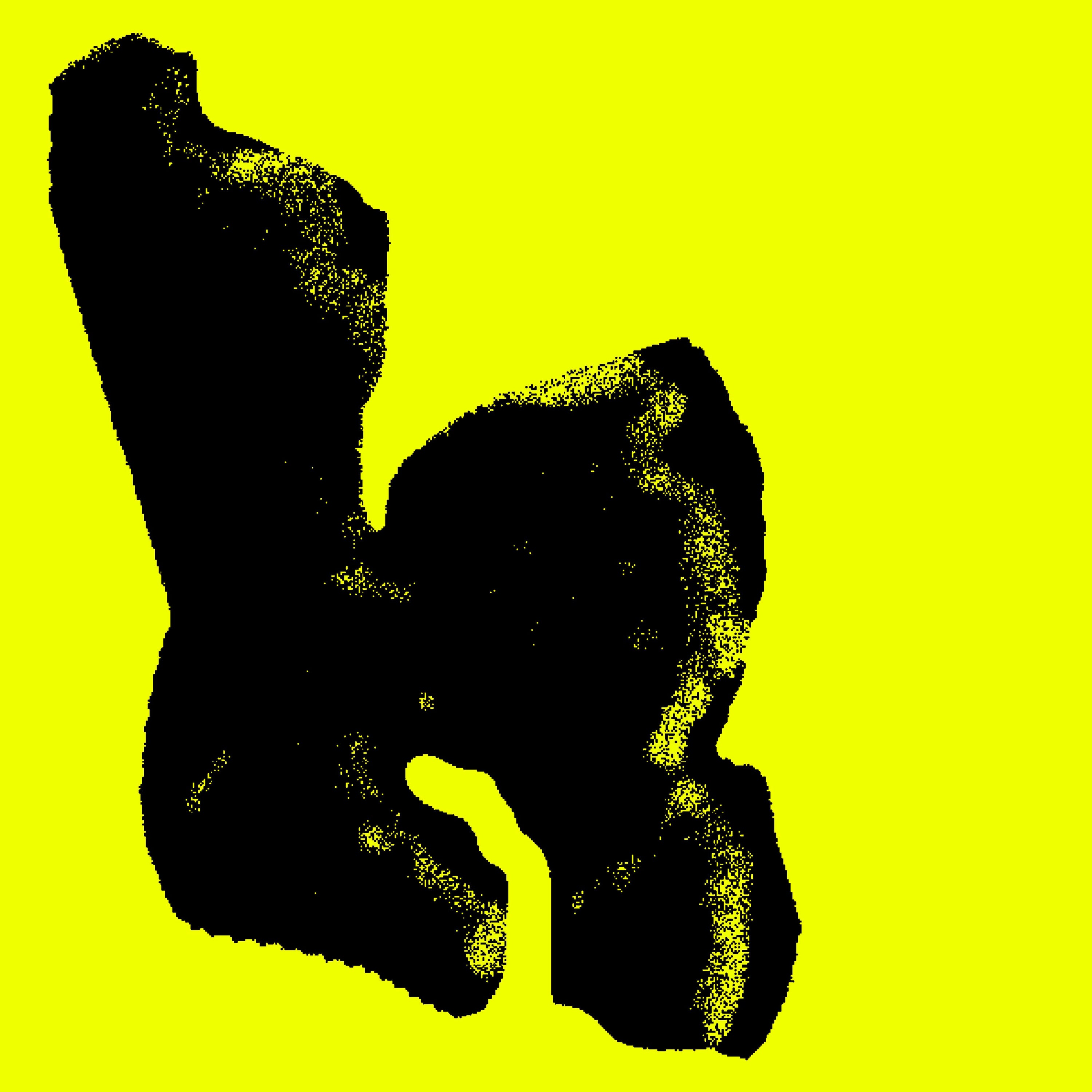 Gym Mat Maxime Thill