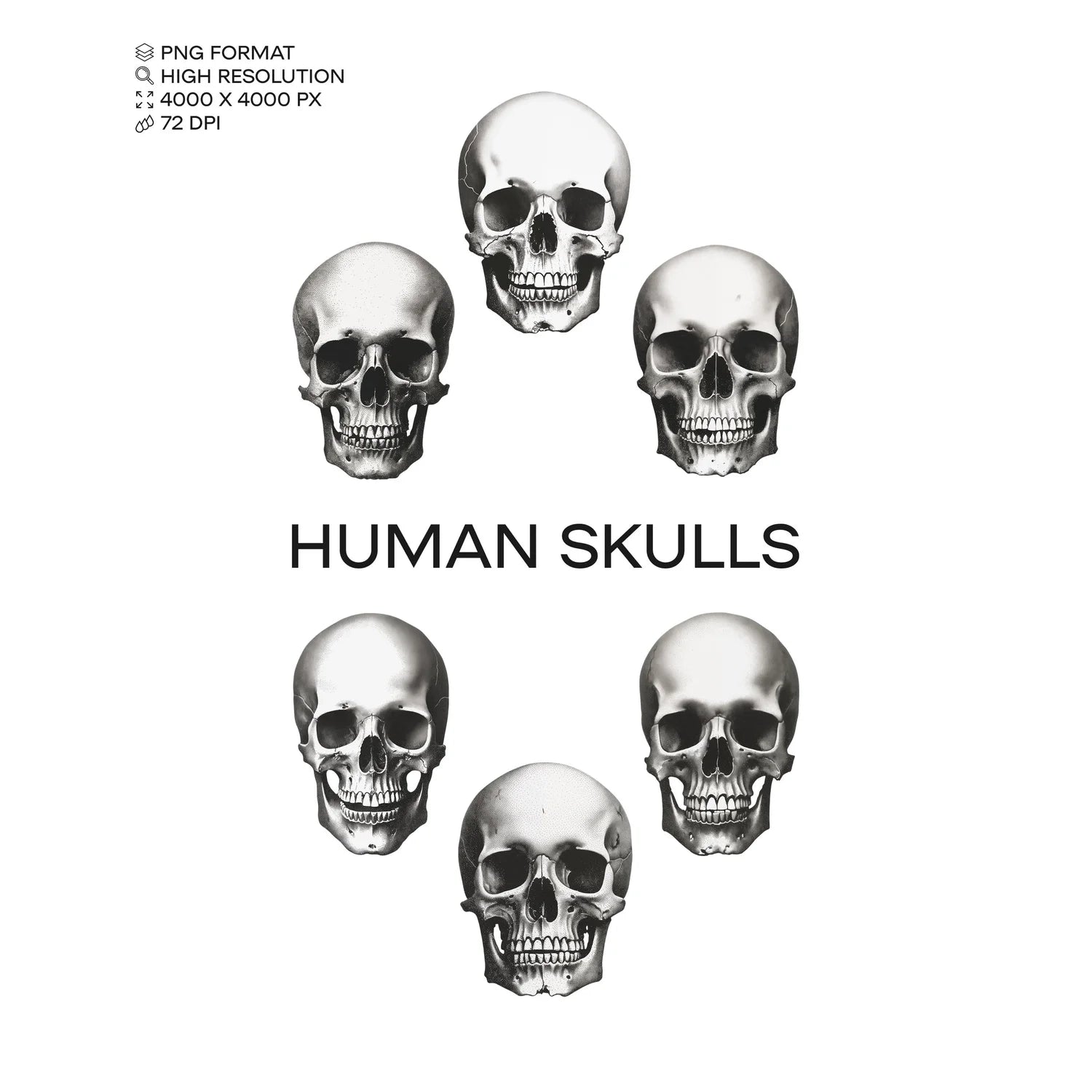 Human Skull Pack GFX Database