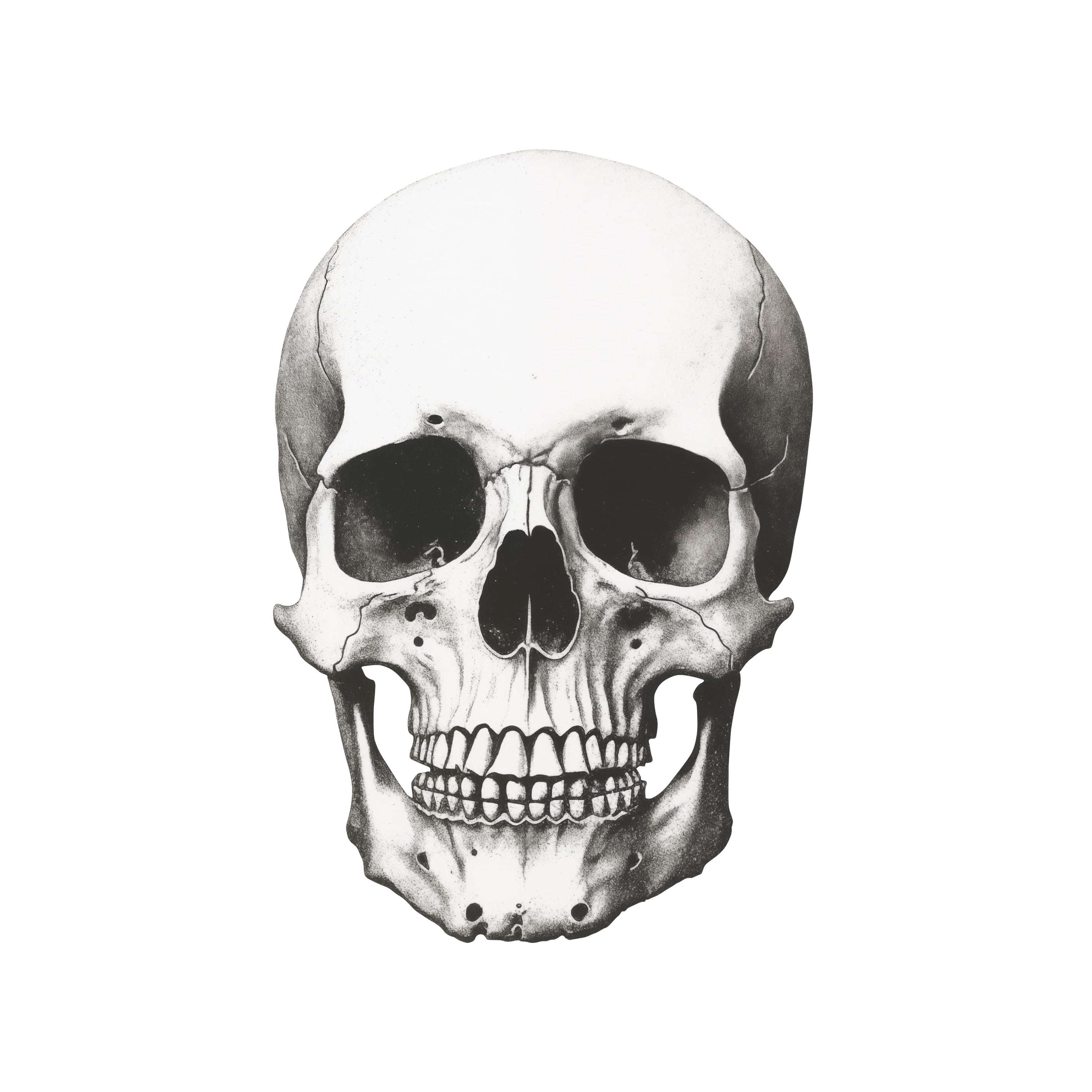 Human Skull Pack GFX Database