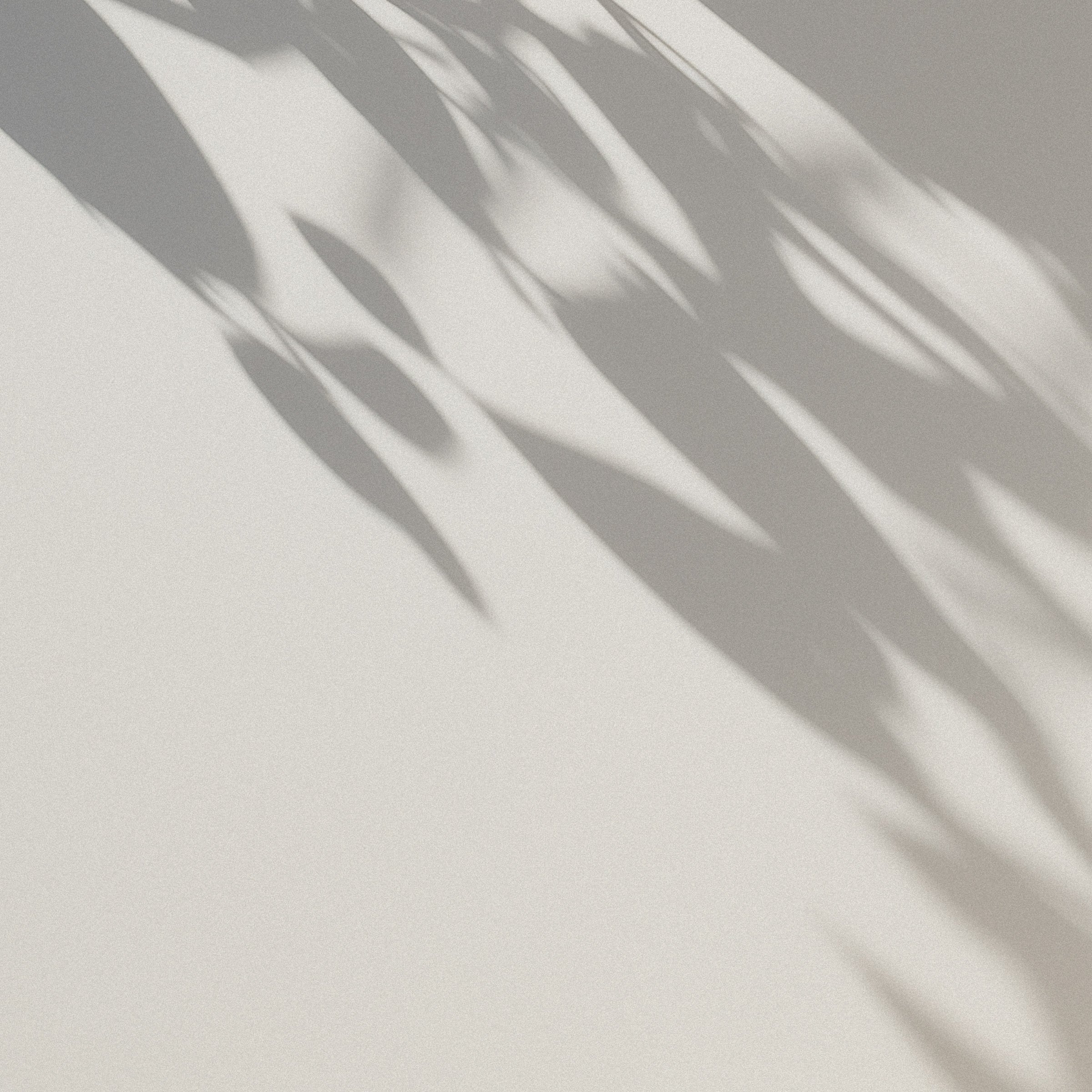 Light & Shadow Overlays Collection
