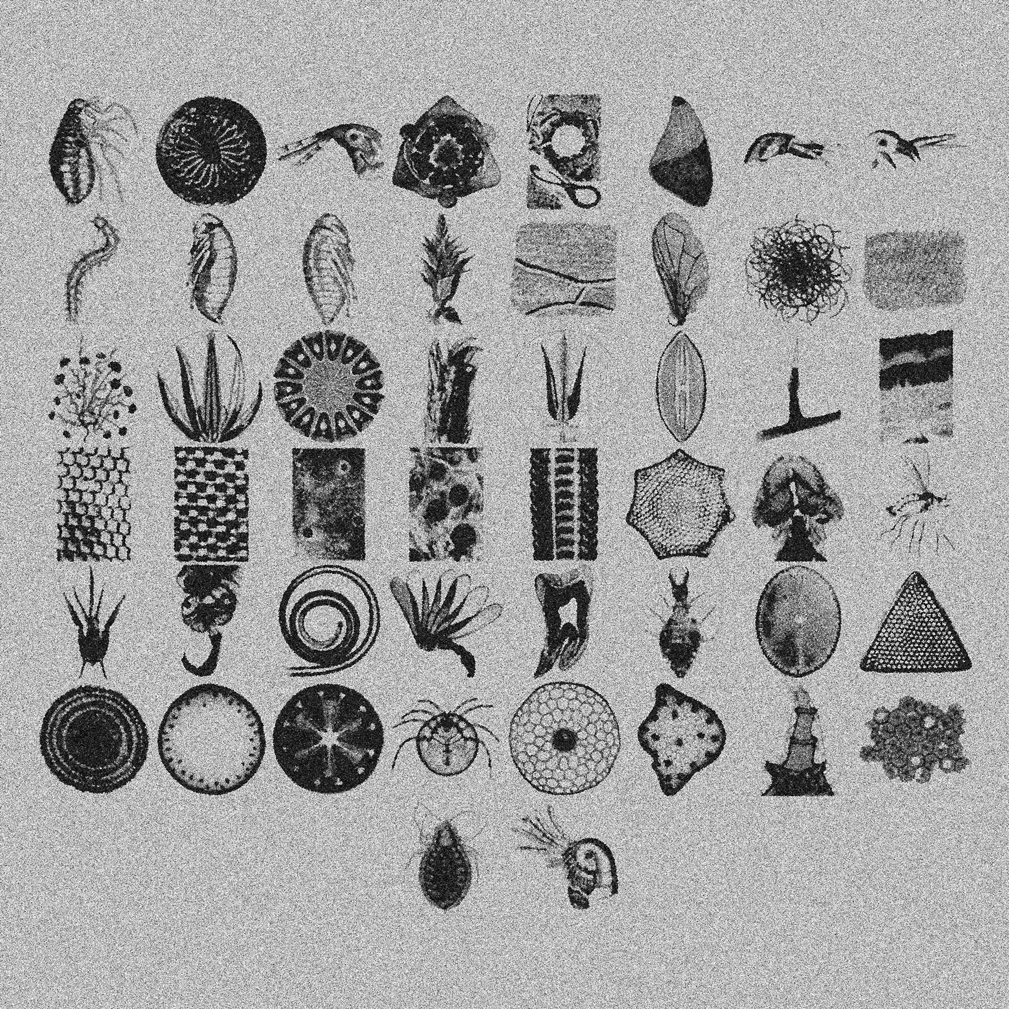 Micrography Asset Pack (Vol.1) Jason Santos