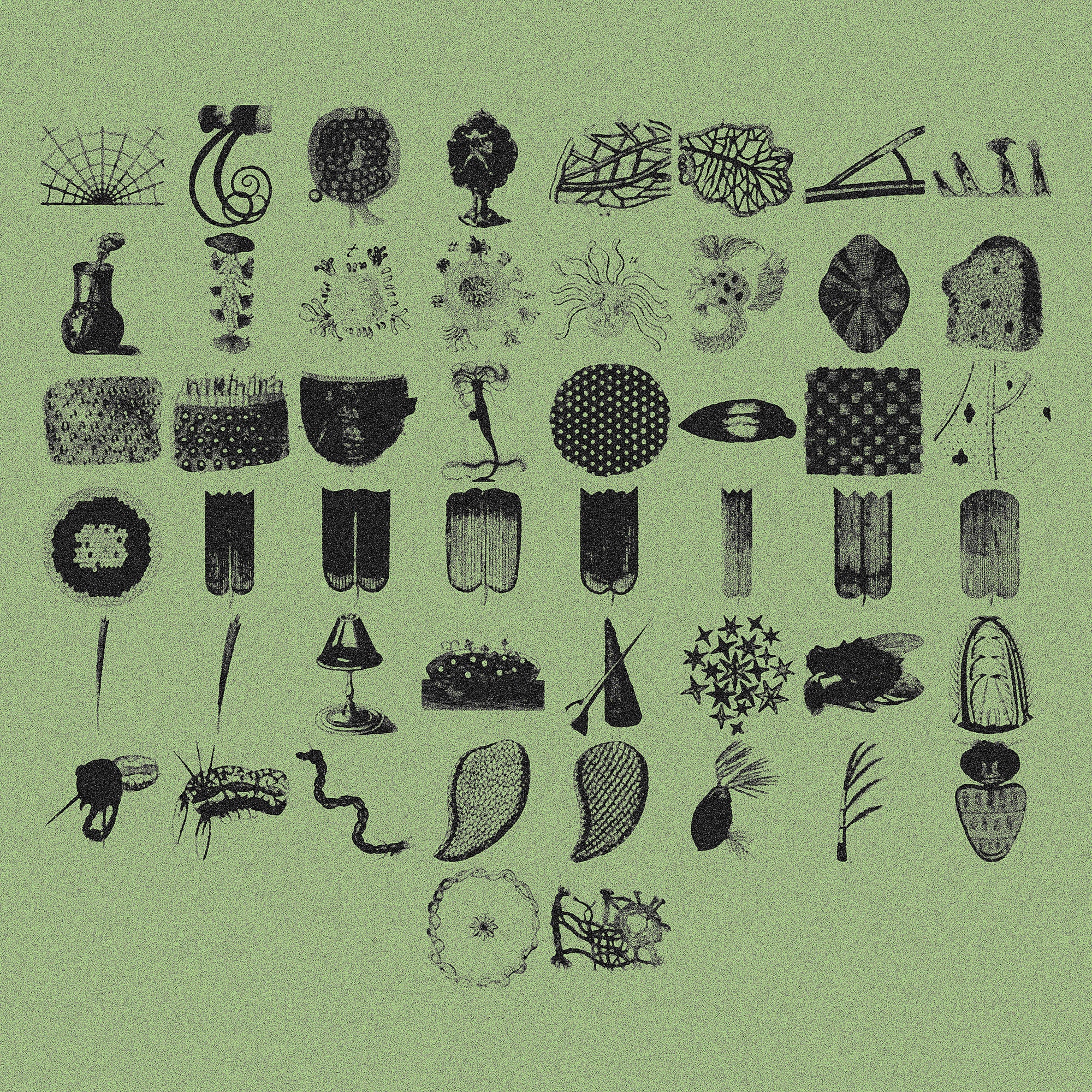 Micrography Asset Pack (Vol.2) Jason Santos