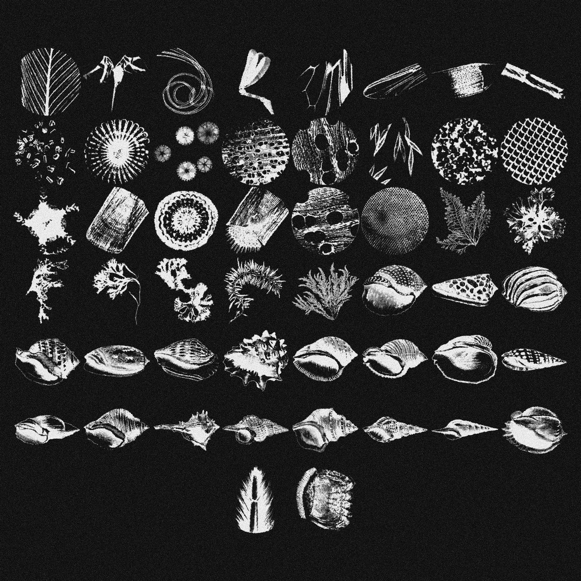 Micrography Asset Pack (Vol.4) Jason Santos