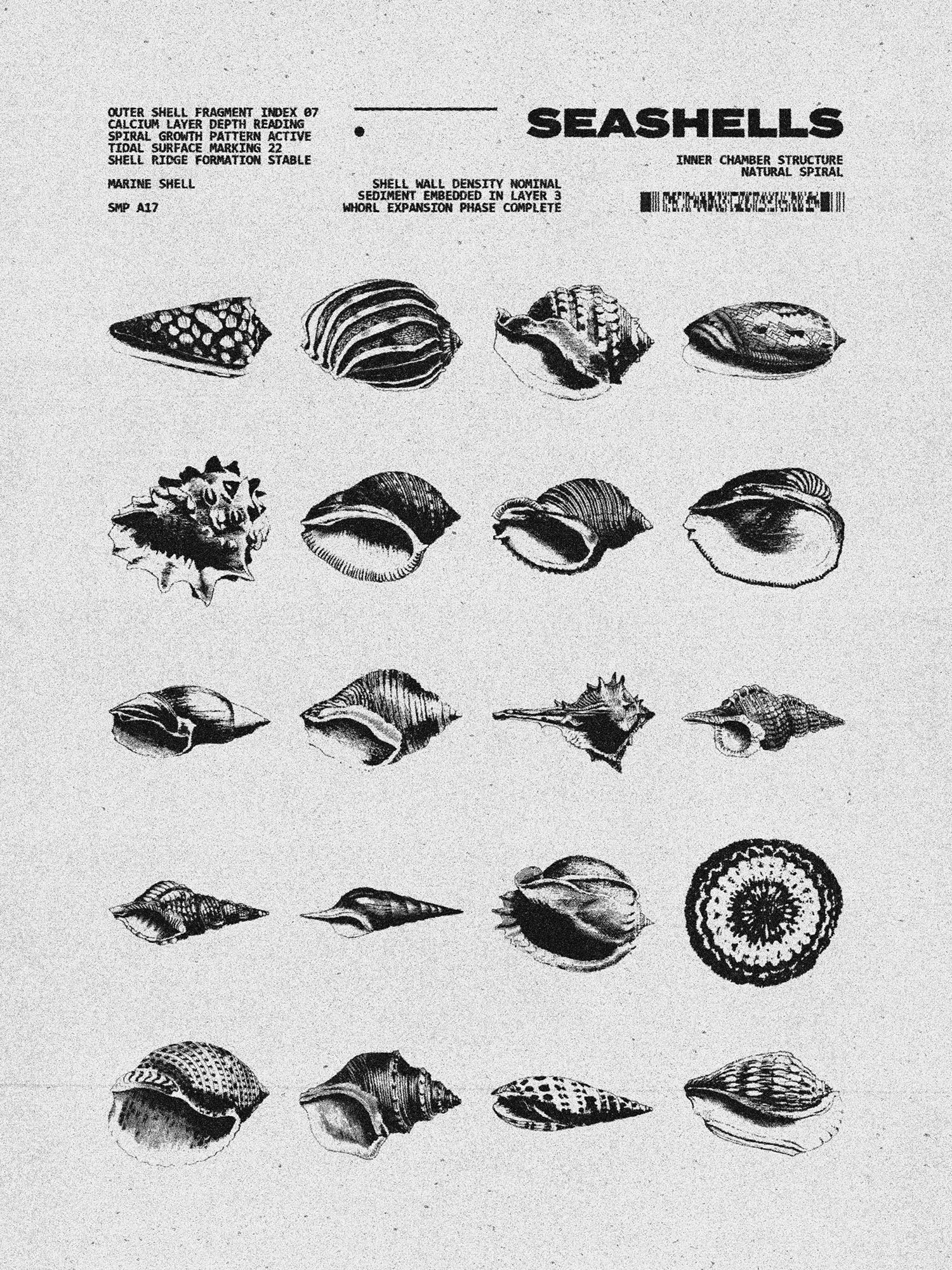 Micrography Asset Pack (Vol.4) Jason Santos