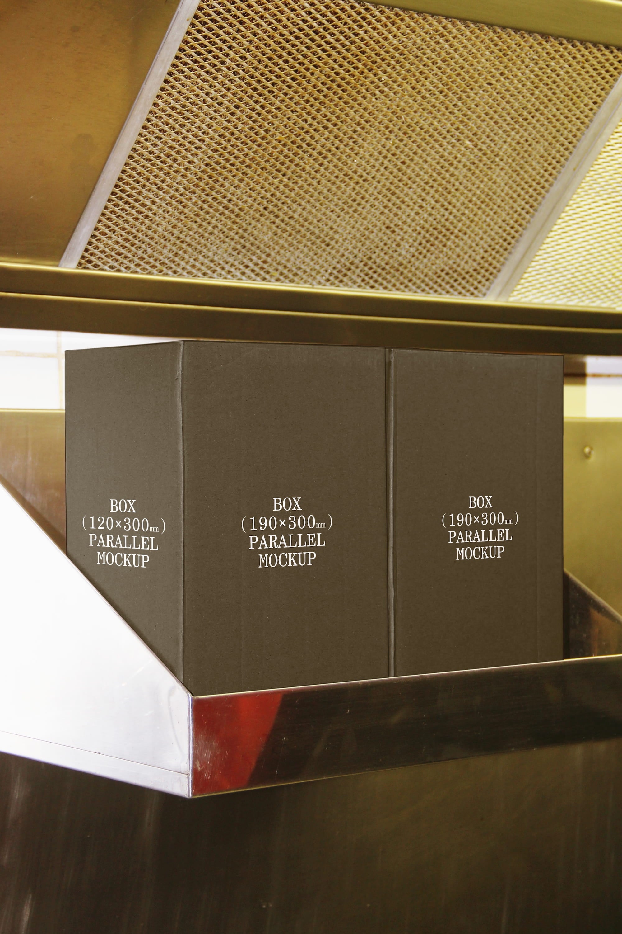 Box Mockup BI-A-20 Parallel Mockup