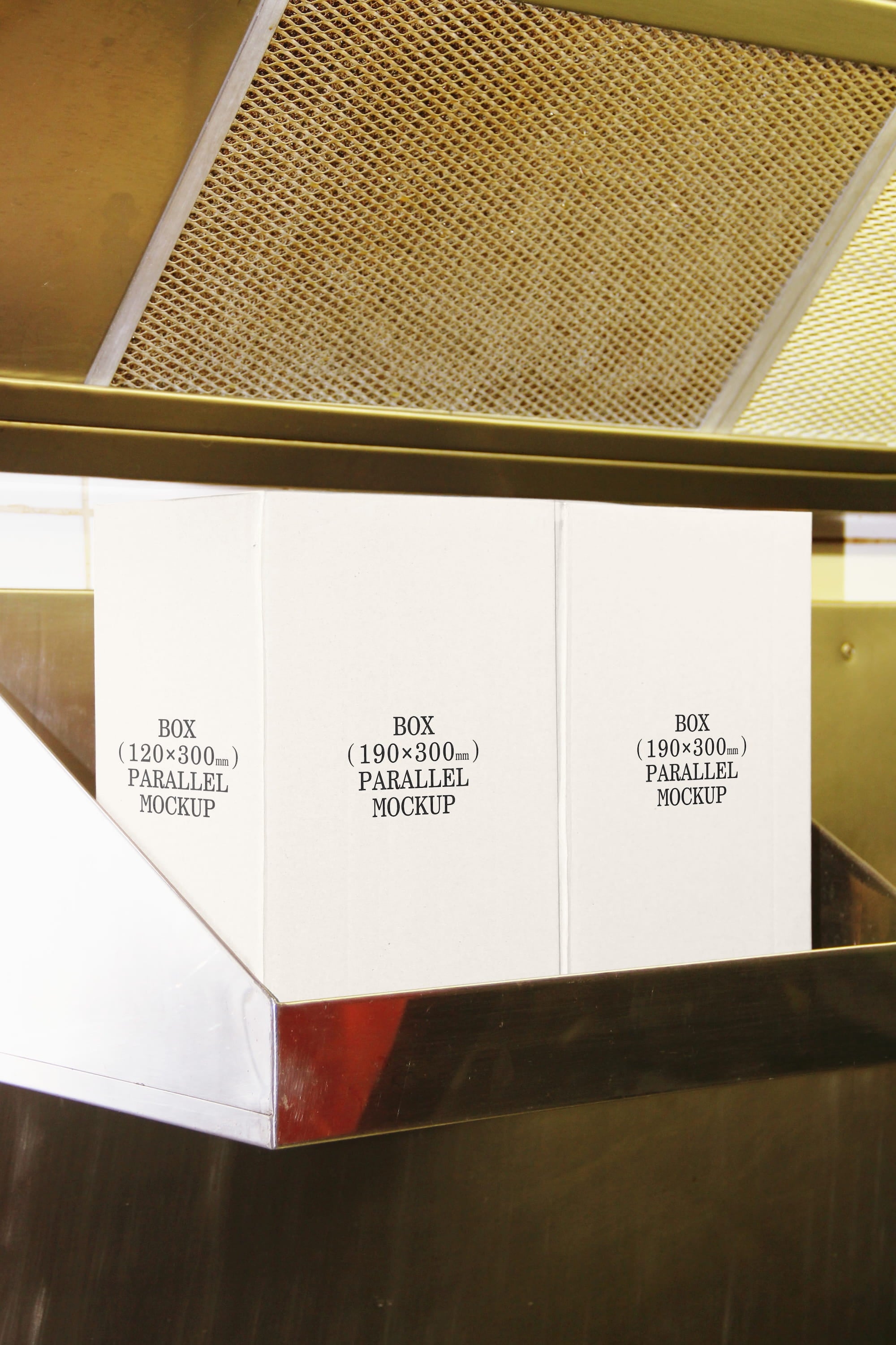 Box Mockup BI-A-20 Parallel Mockup