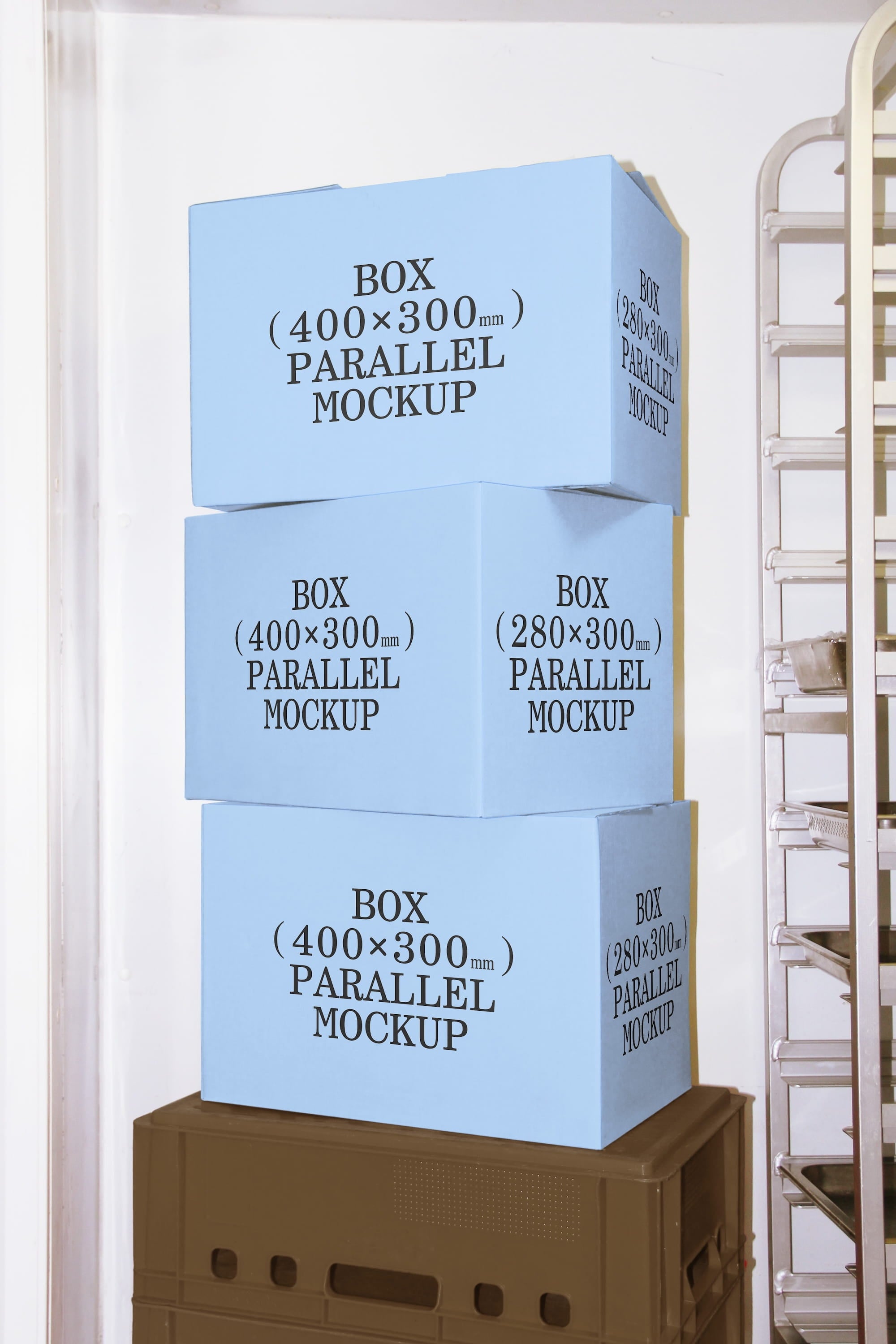 Box Mockup BI-A-31 Parallel Mockup