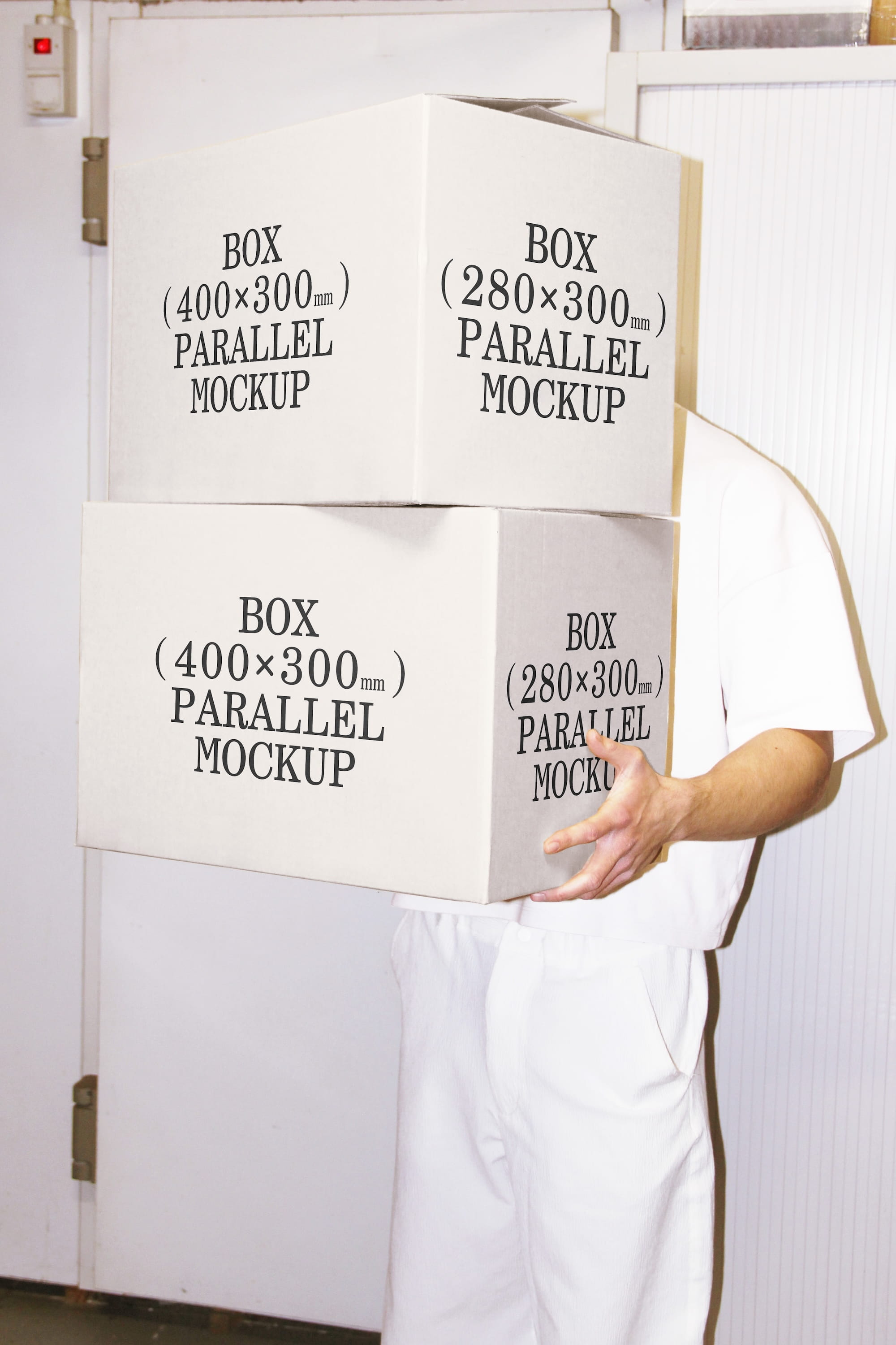 Box Mockup BI-A-32 Parallel Mockup