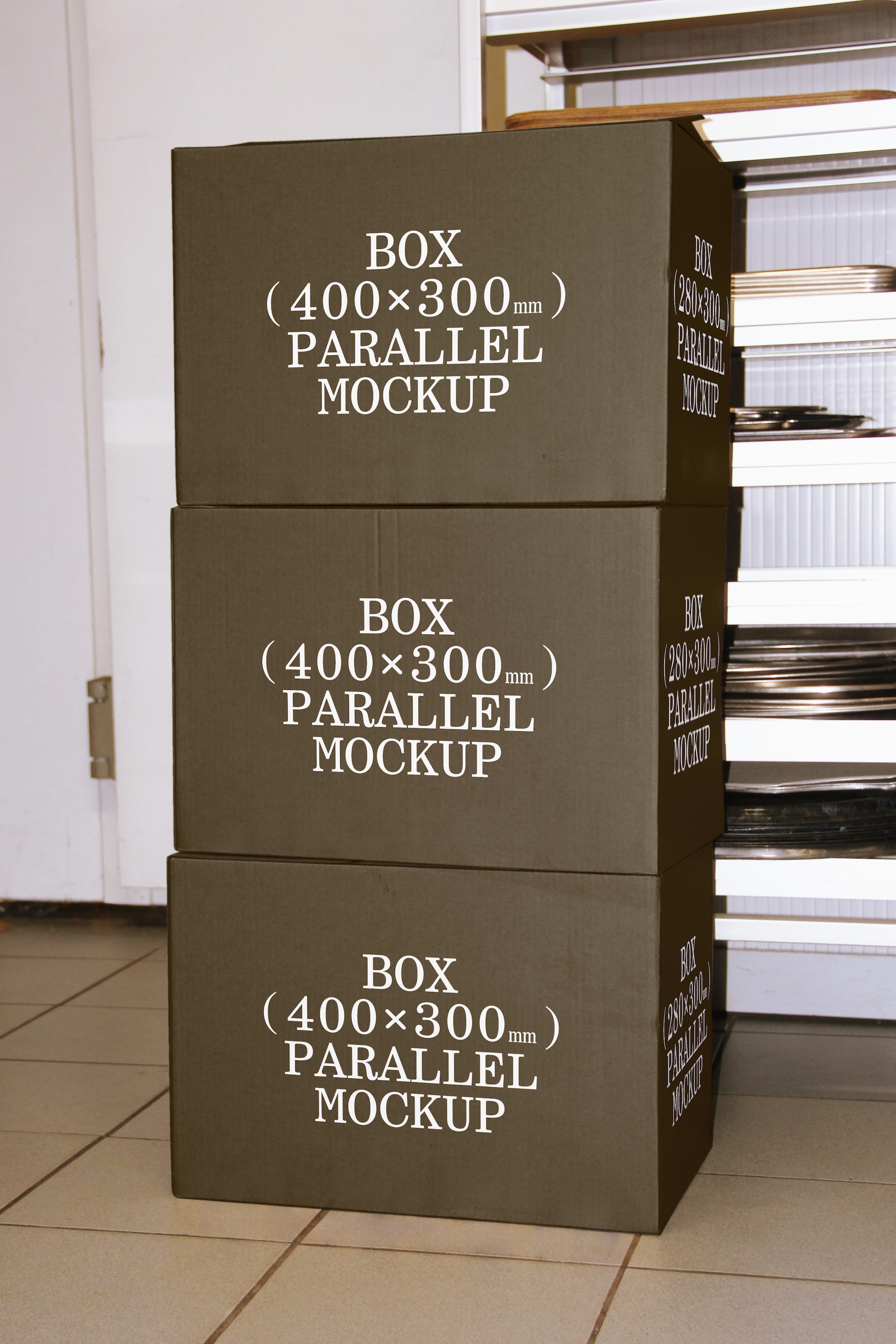 Box Mockup BI-A-33 Parallel Mockup